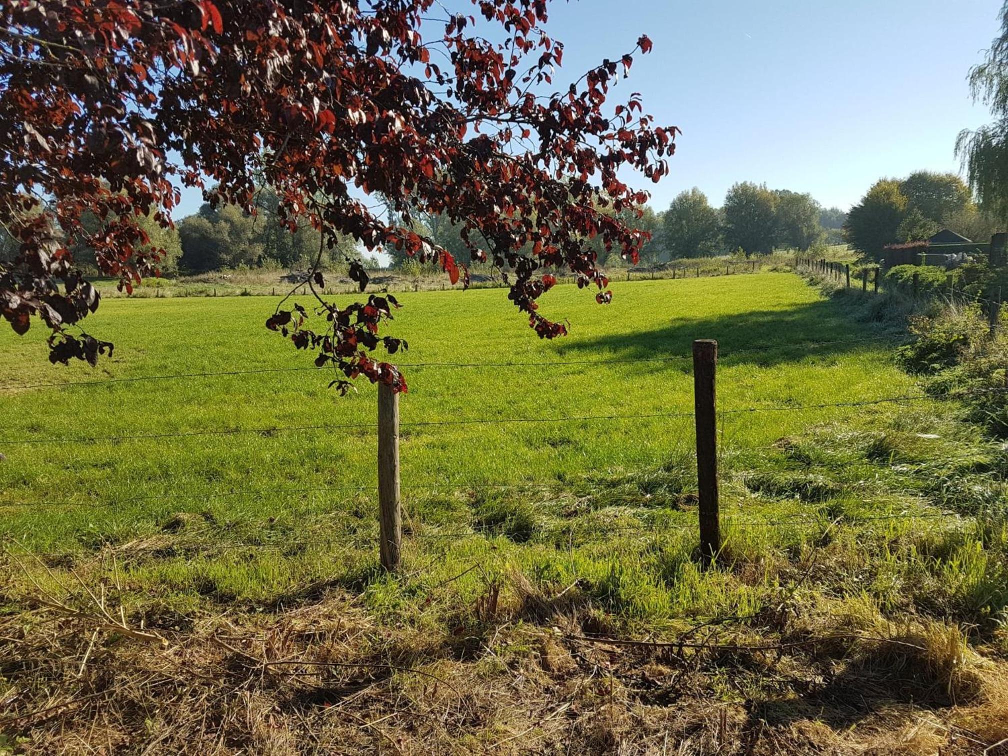 De Goeferdij vakantiewoning