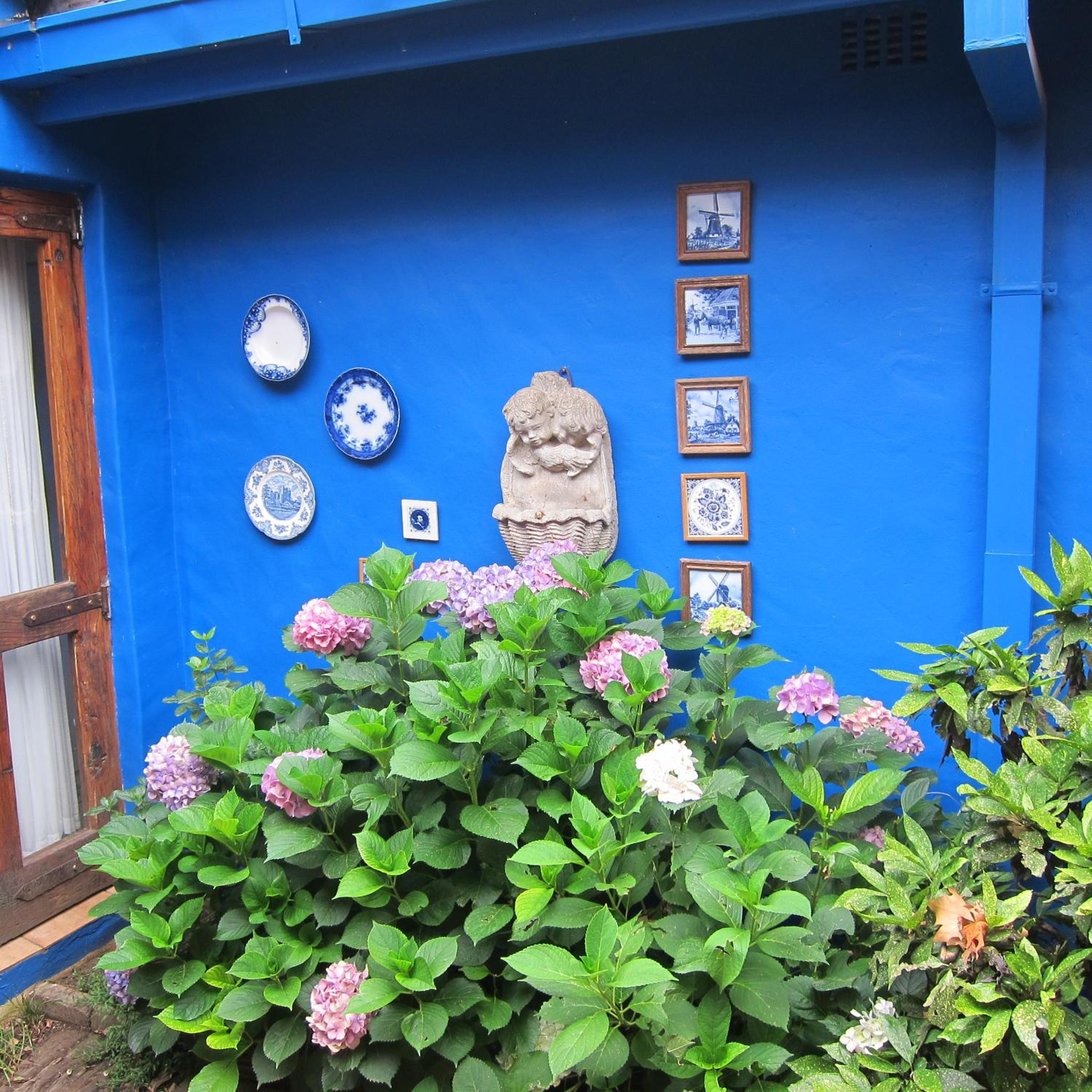 Photo 43