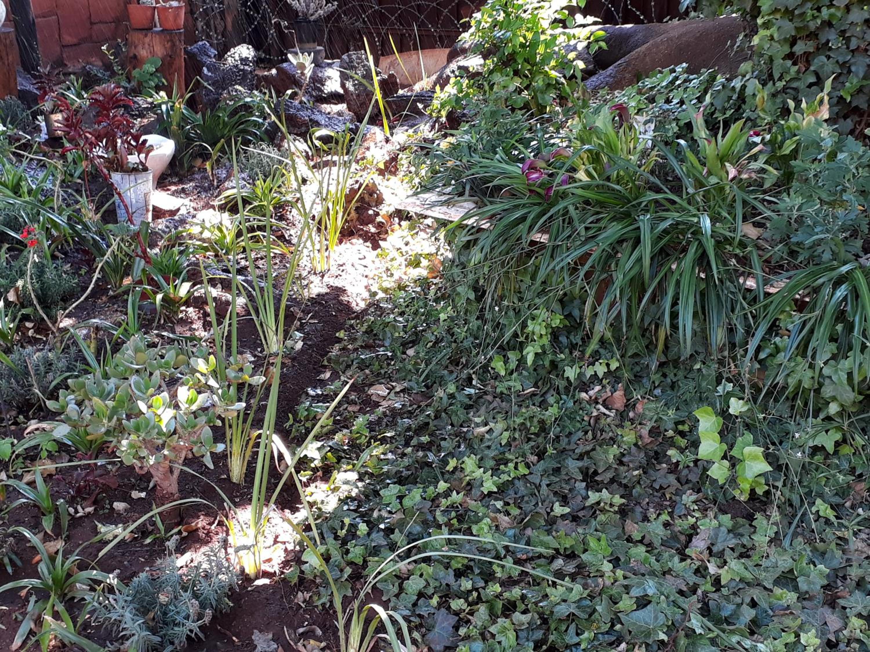 Upper Houghton Guesthouse