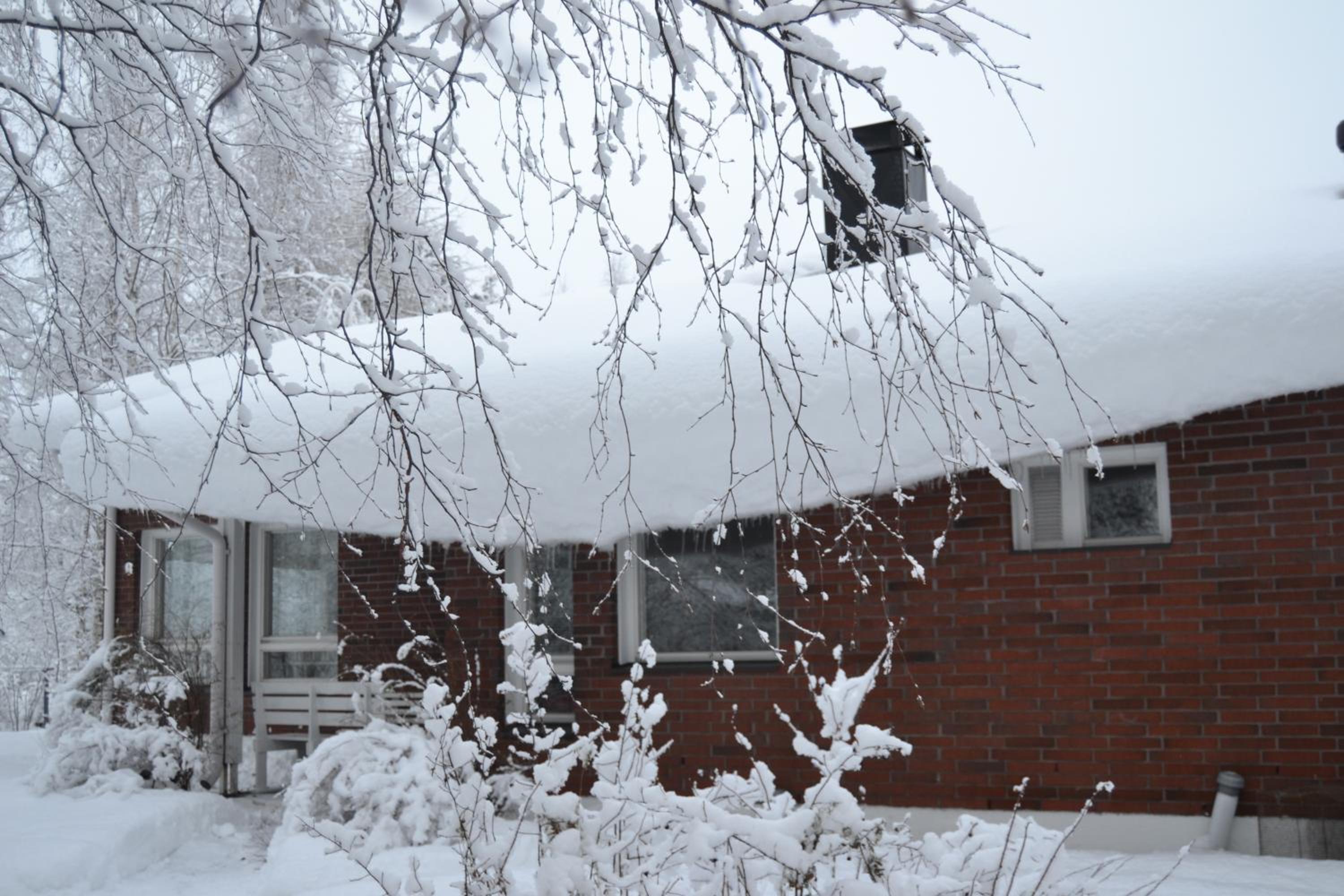 House Olkka by the river - main view