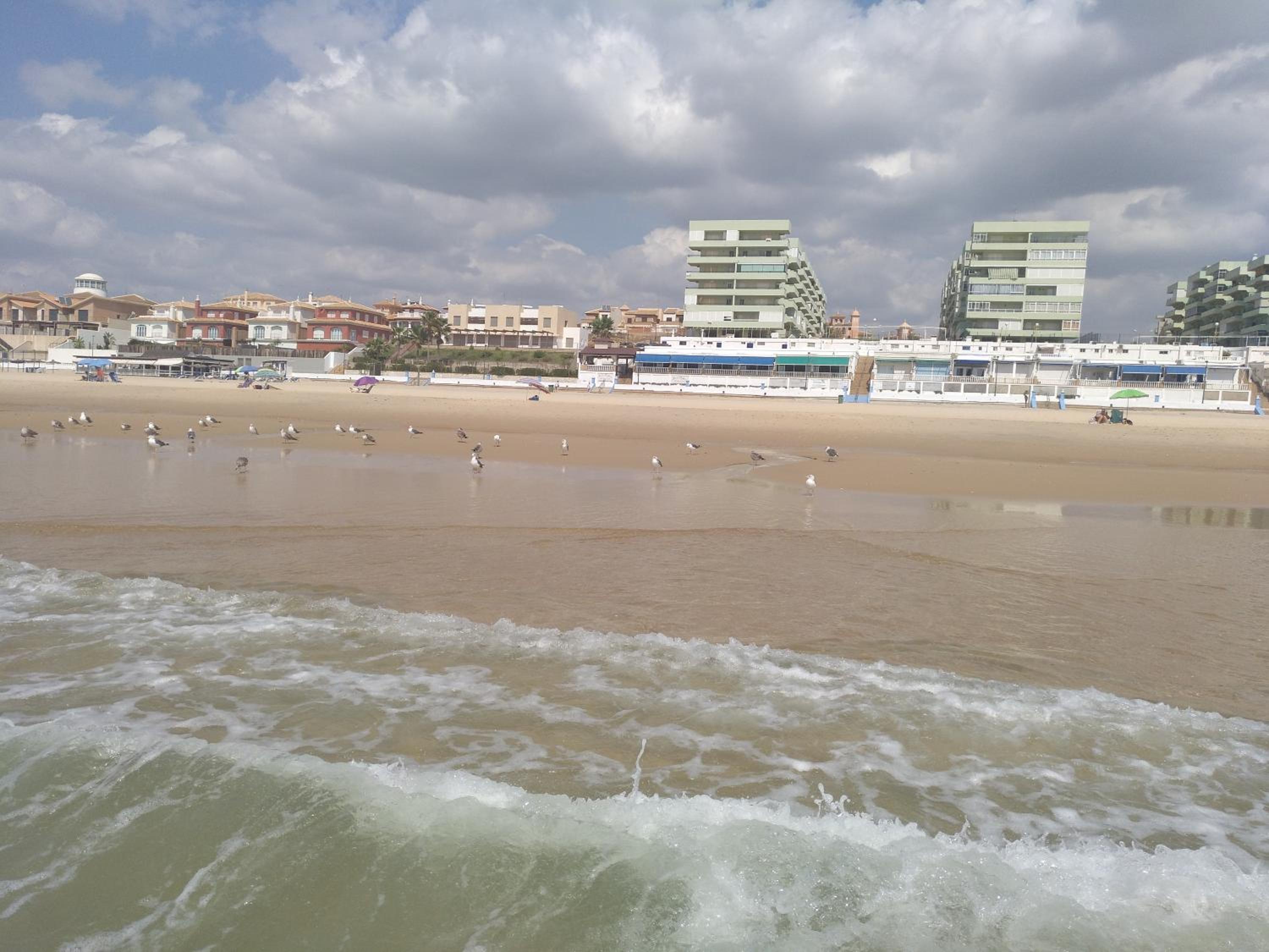 Apartamento Naturaleza Virgen view 5