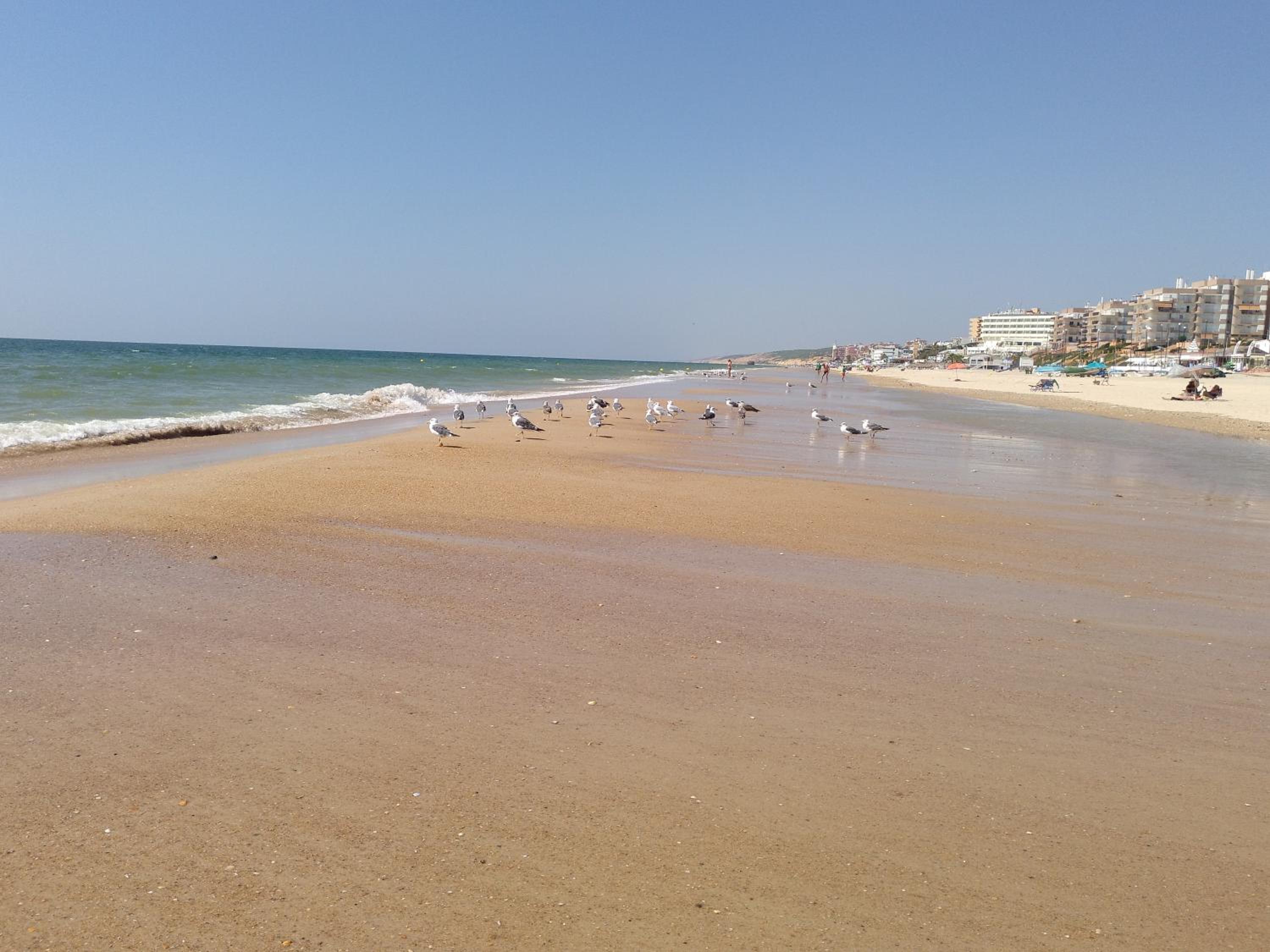 Apartamento Naturaleza Virgen view 4
