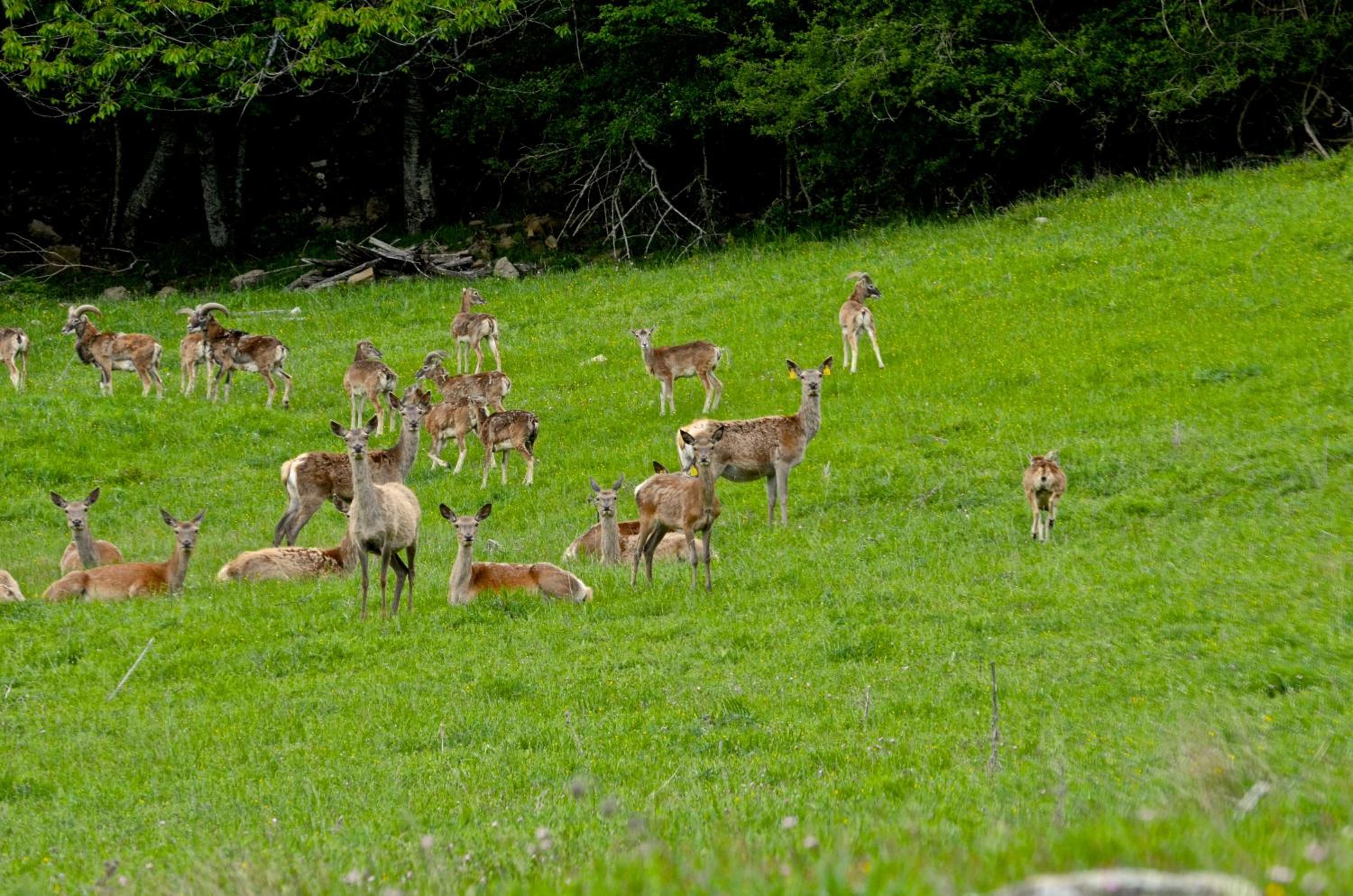 Agriturismo Il Passeggere