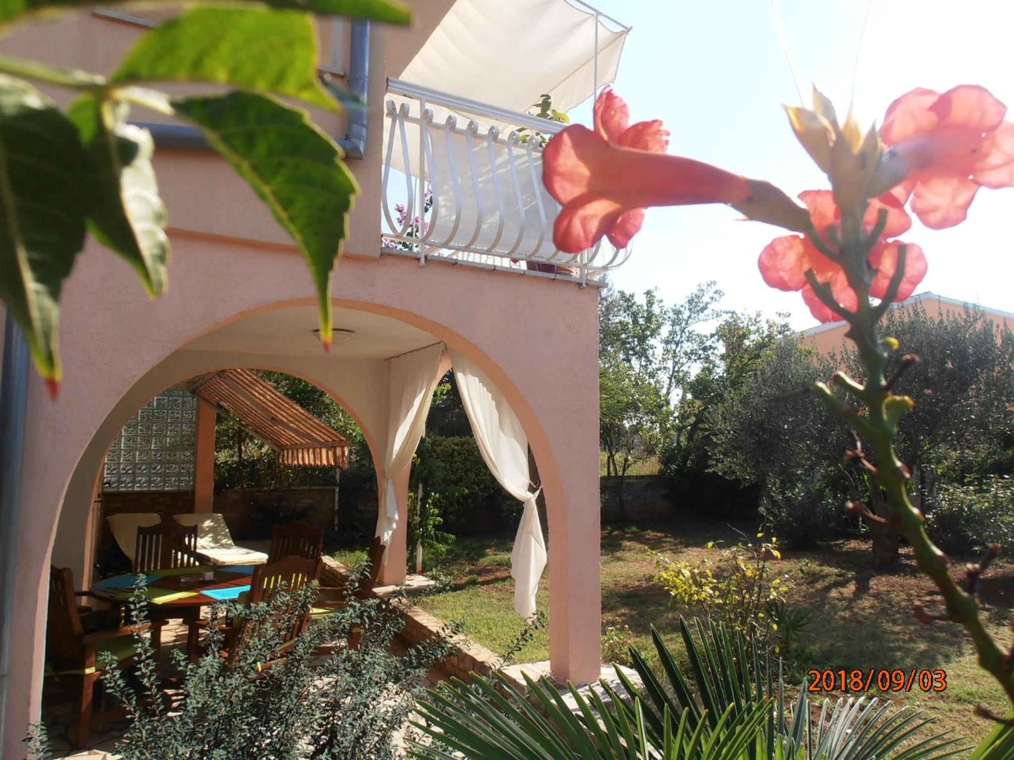 Apartment Steblaj