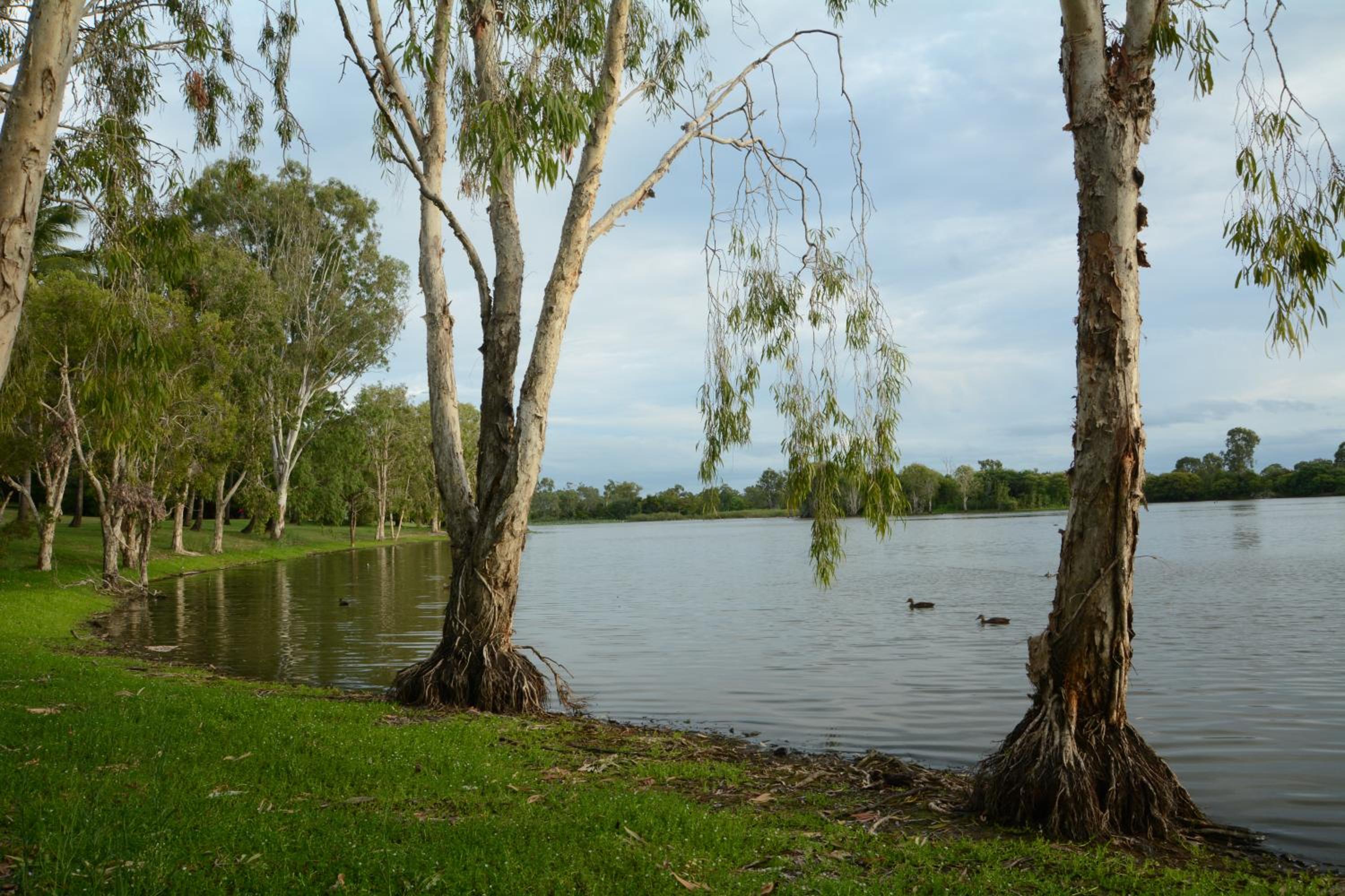 other