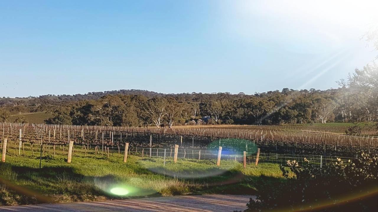 D2 at Watervale