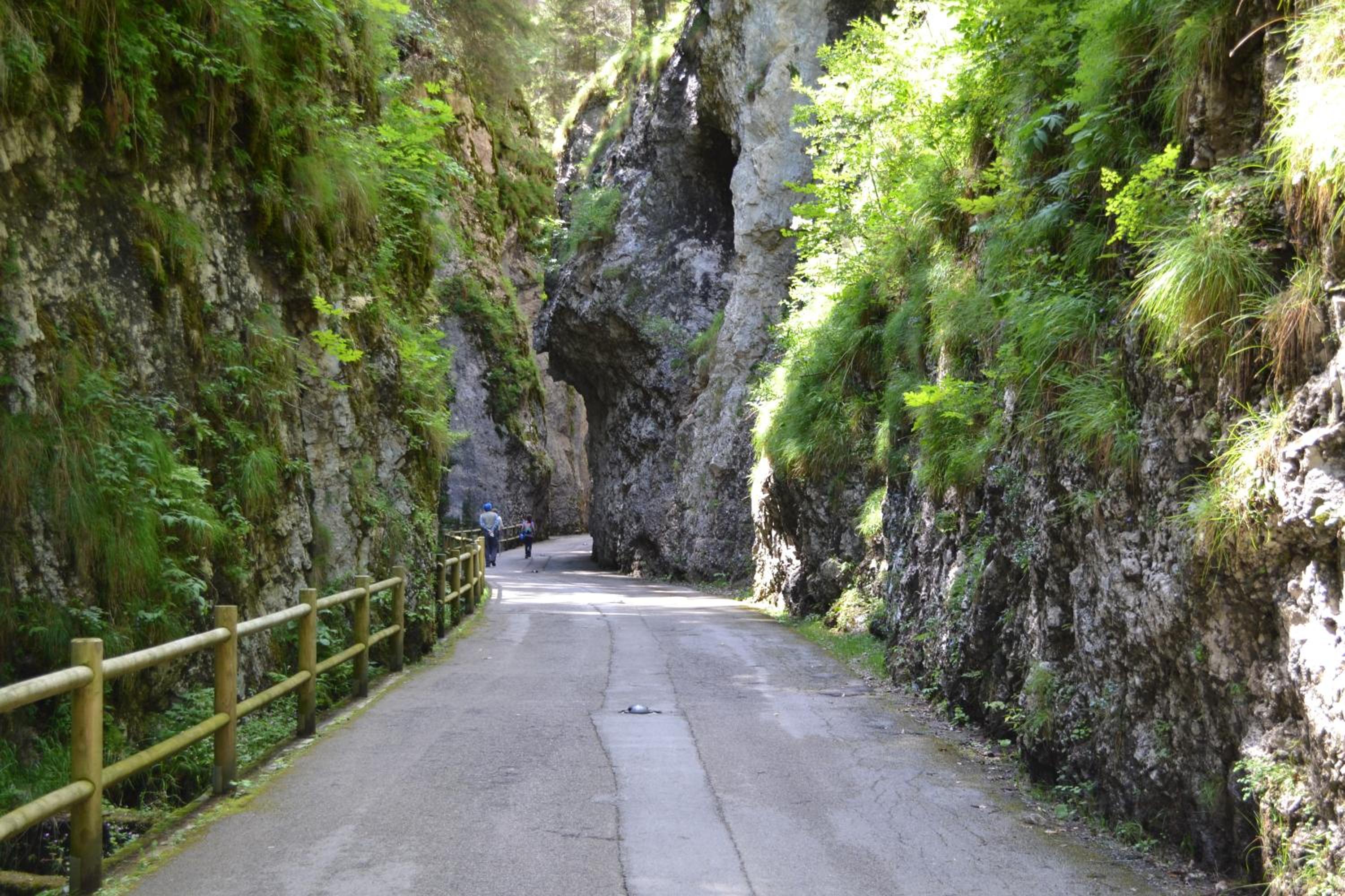 Photo 43