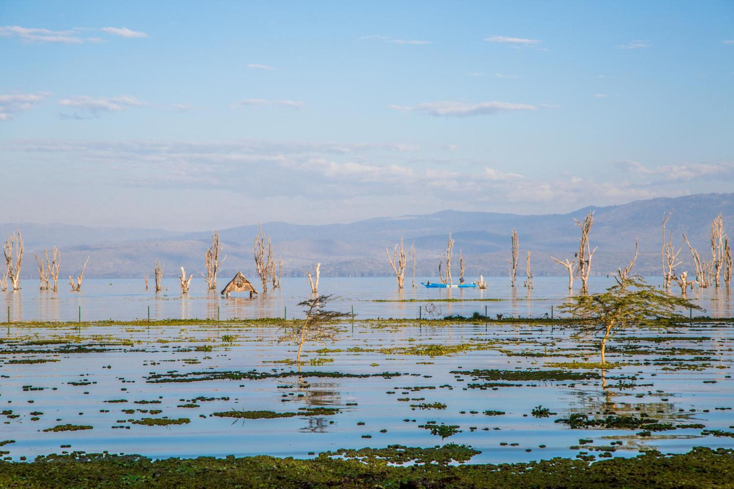 Lake Naivasha Resort