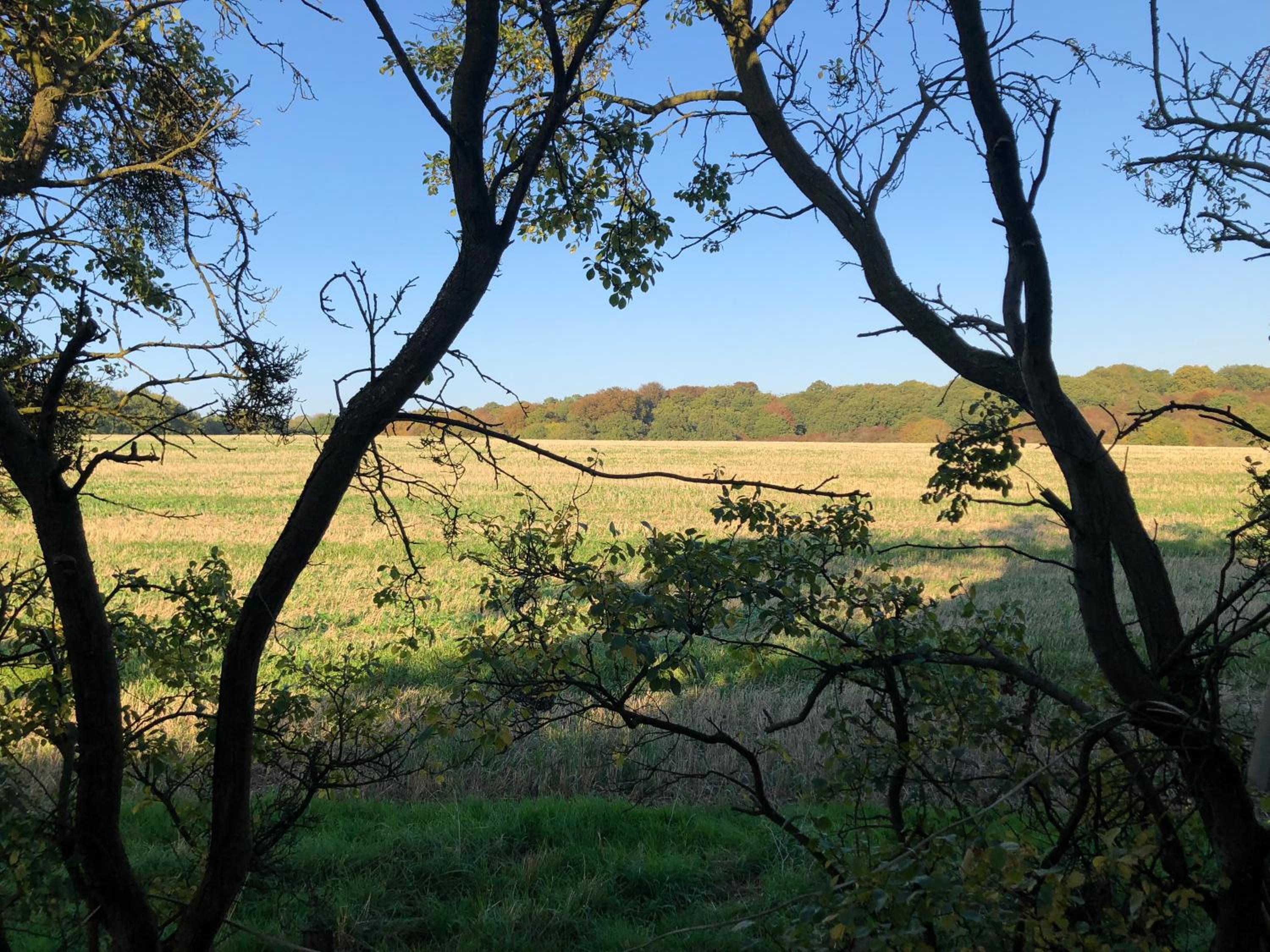 Old Hunters Lodge Whipsnade Limited view 5