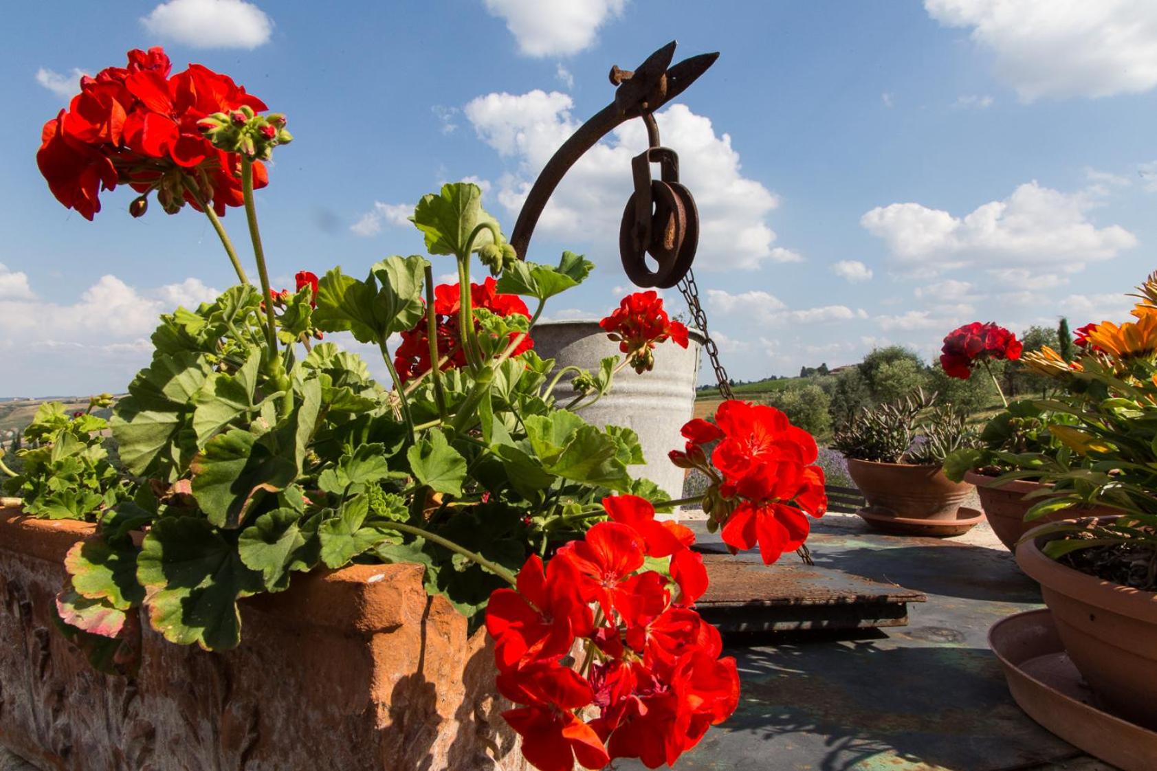 Agriturismo Mocine