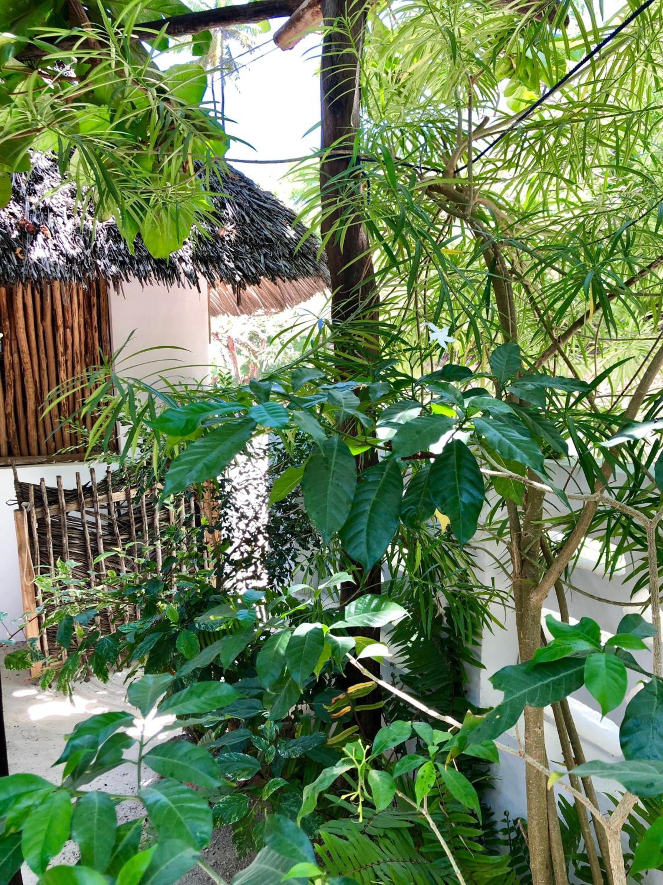 Zanzistar Lodge