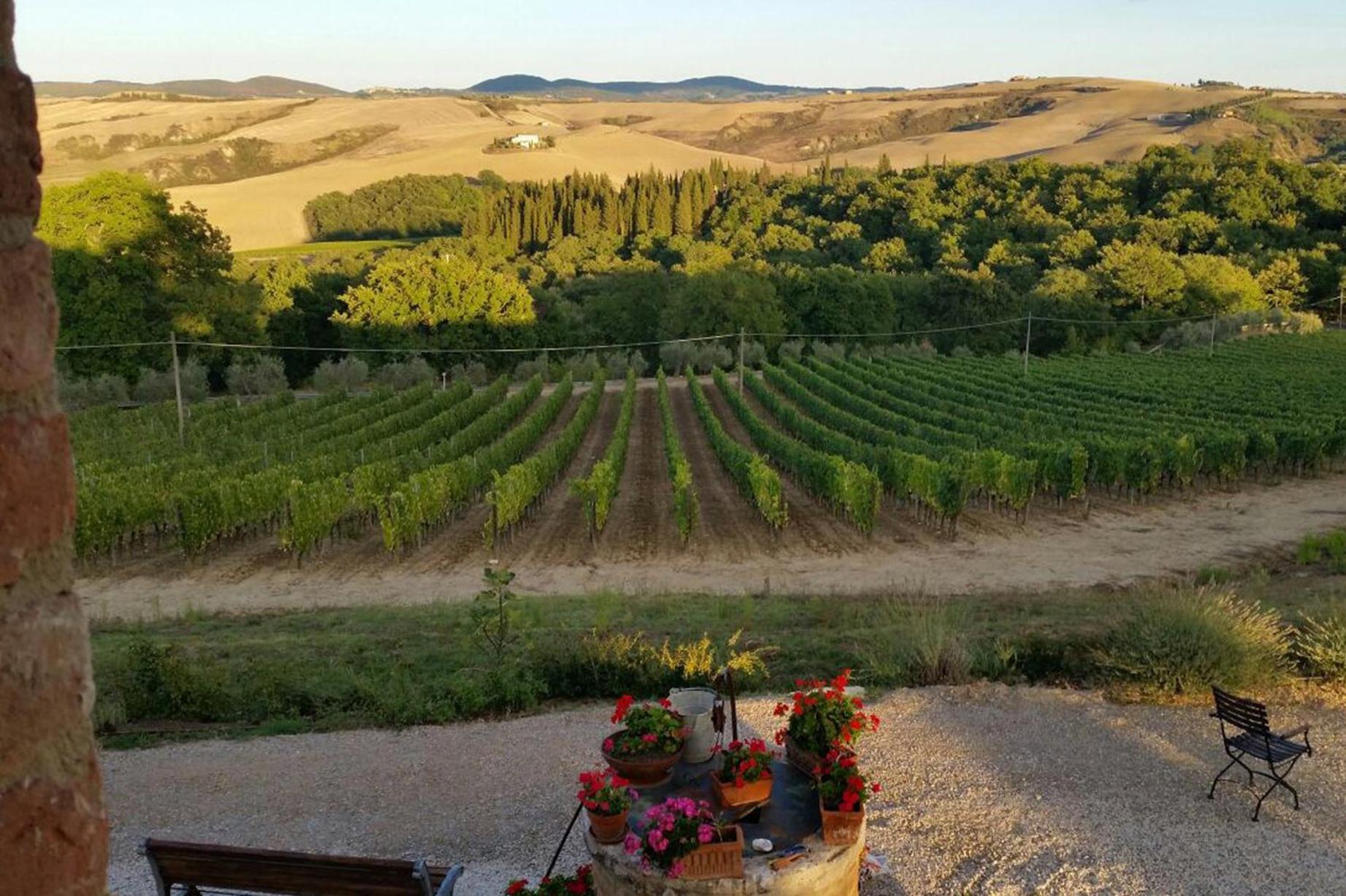 Agriturismo Mocine