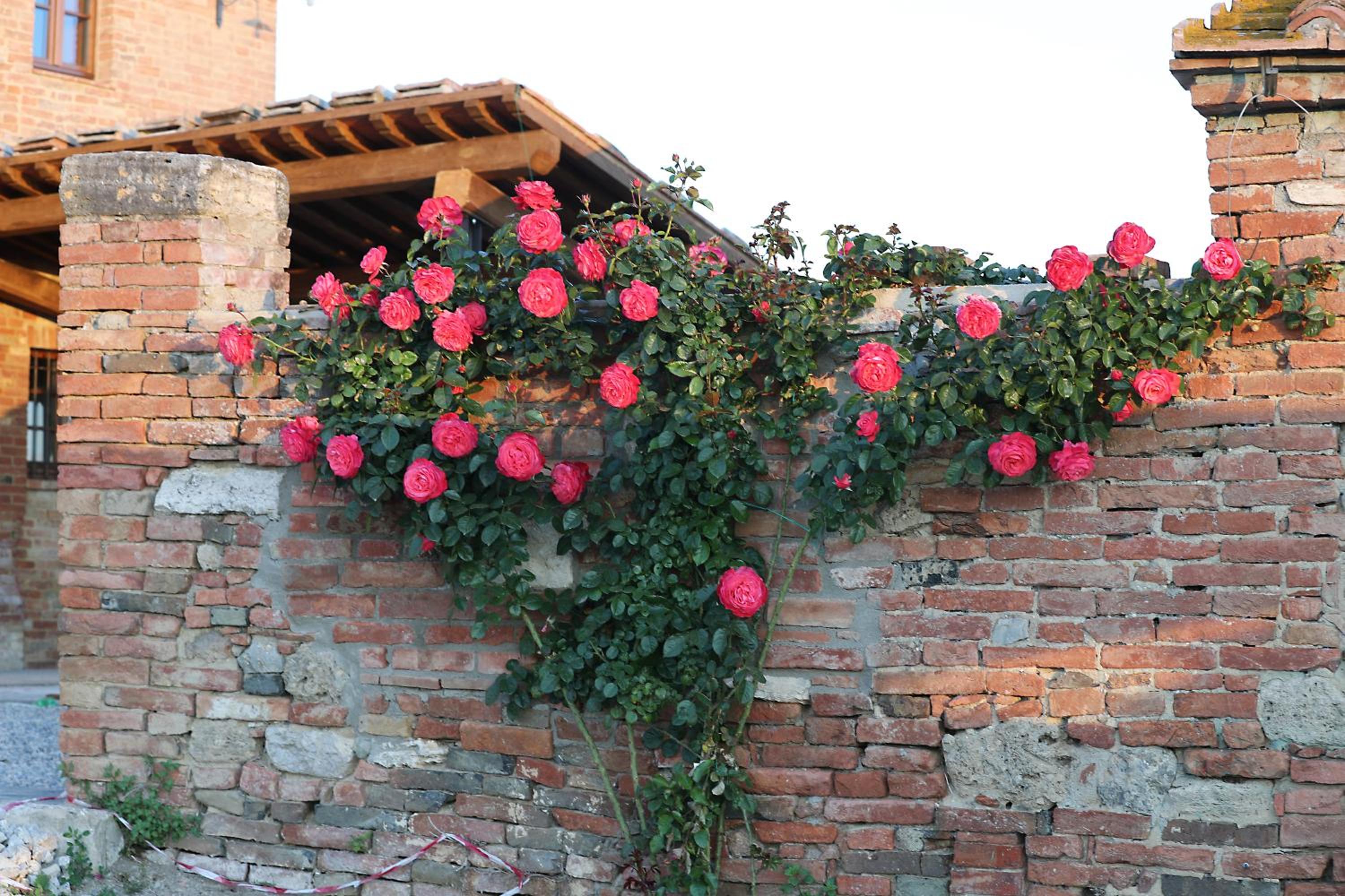 Agriturismo Mocine