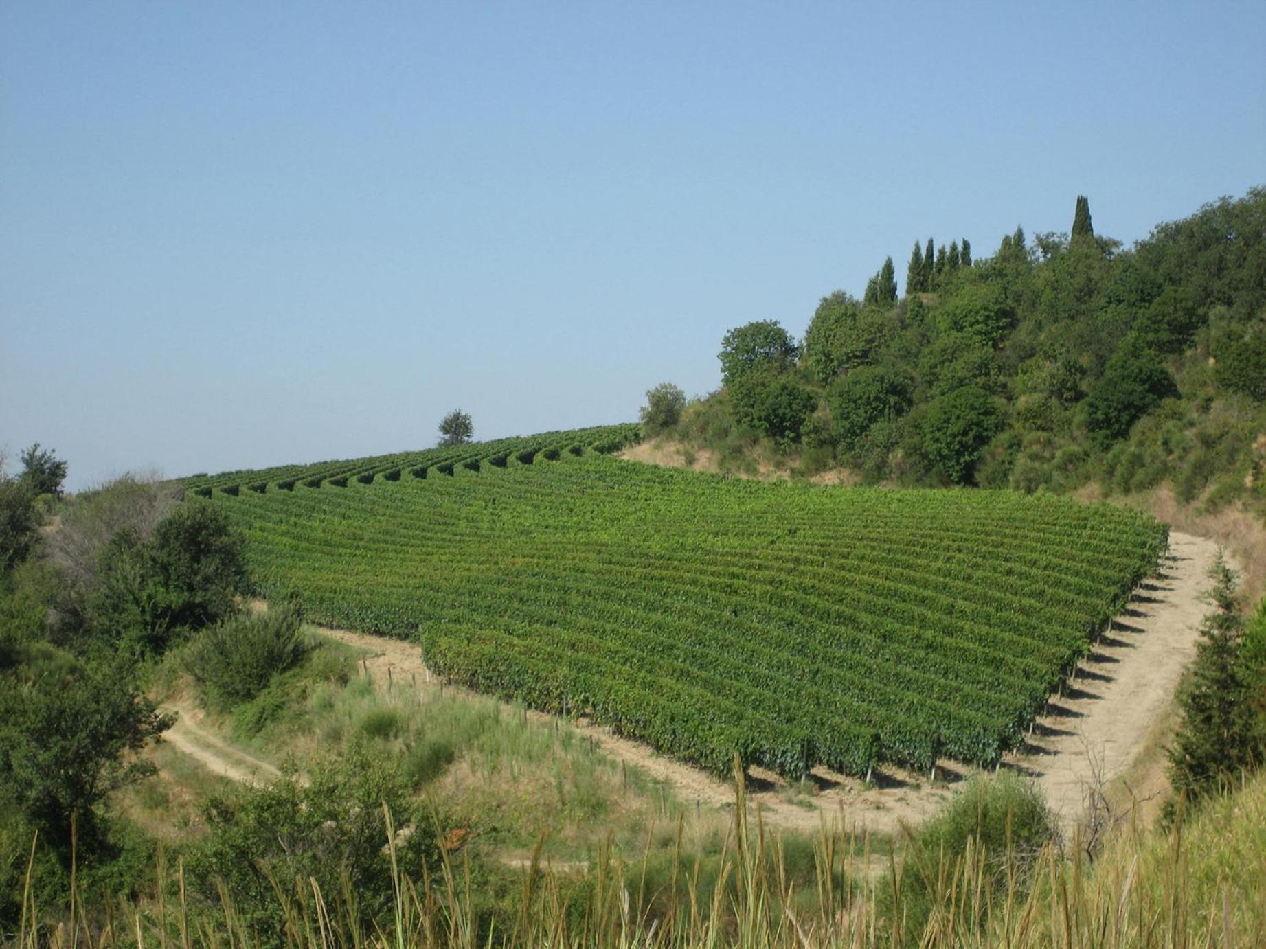 Agriturismo Mocine