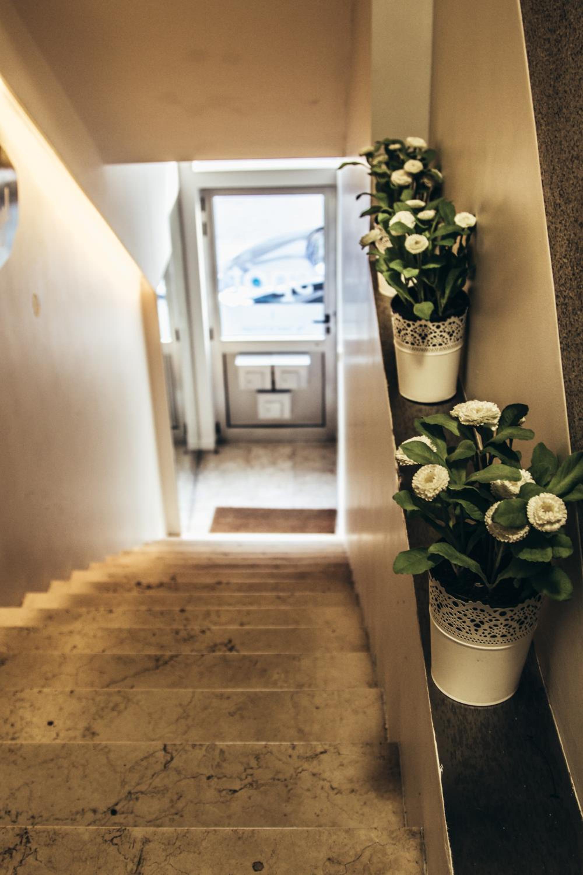 Spot Apartments