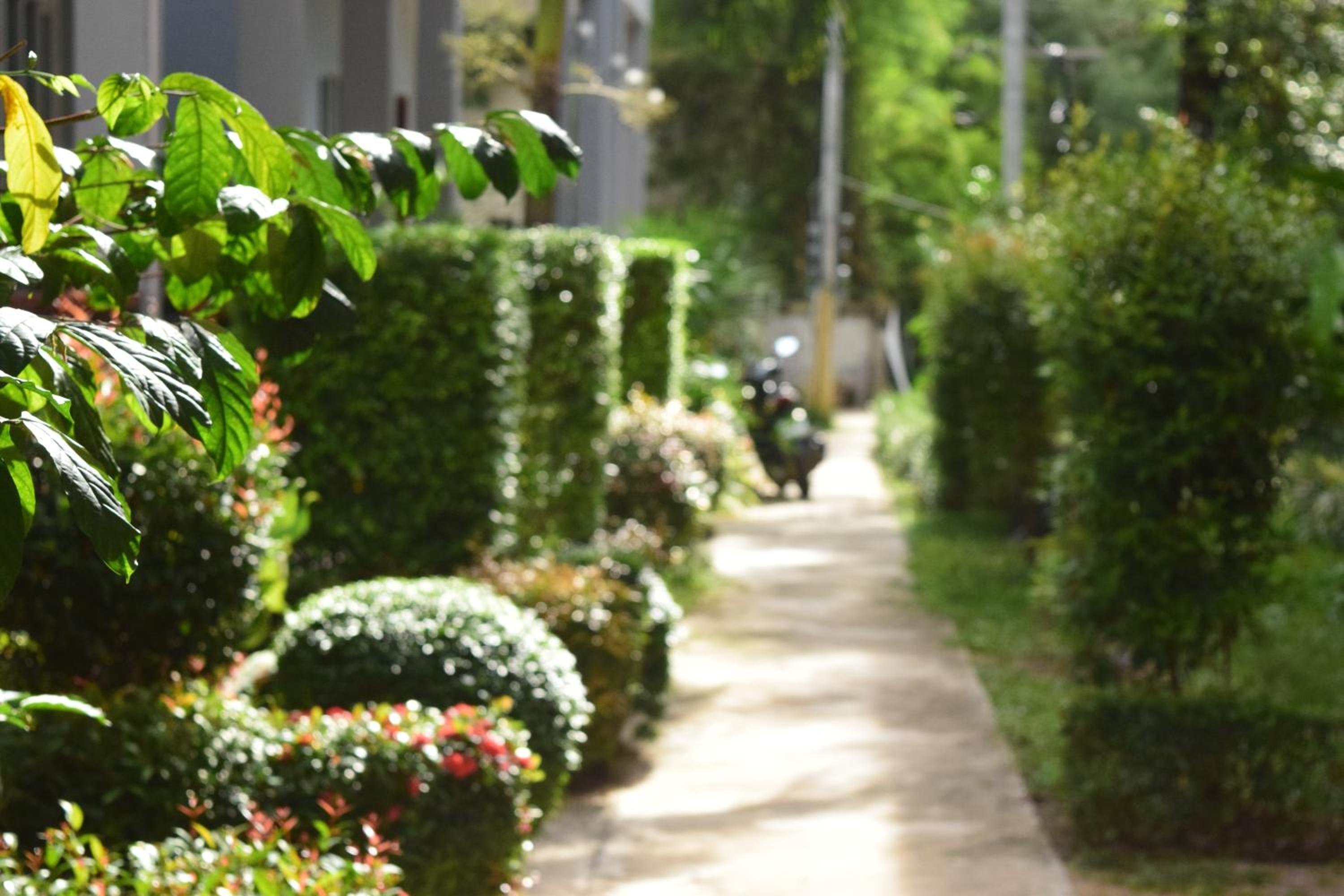 Tamarind Lanta Resort