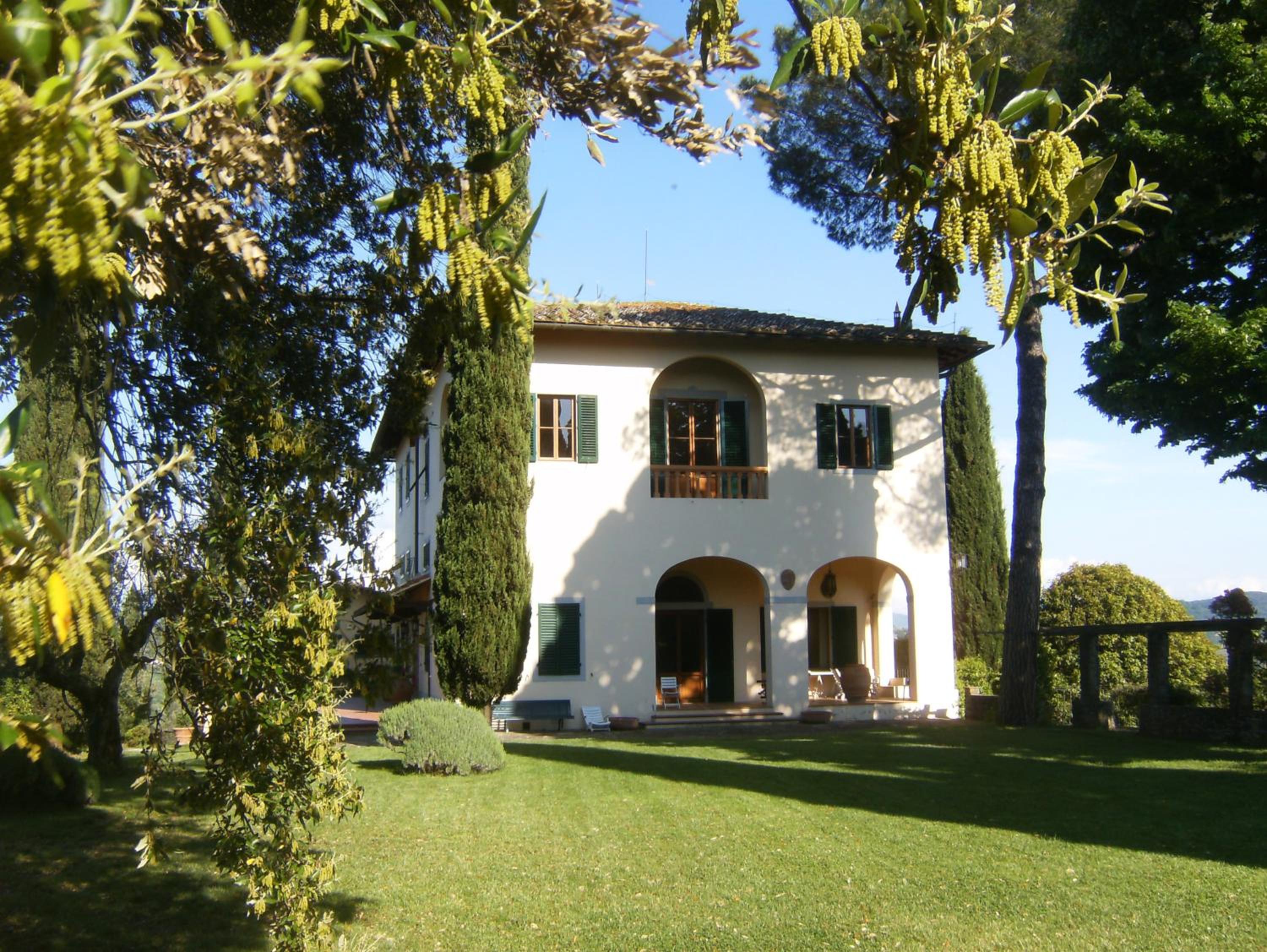 Photo 31