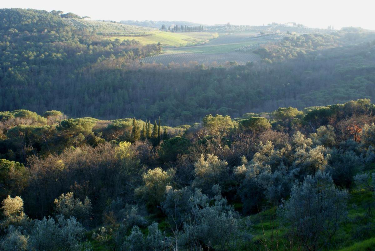 "Alle Montanine" Villa Poggio - Panoramic Tuscan Villa near Florence view 5