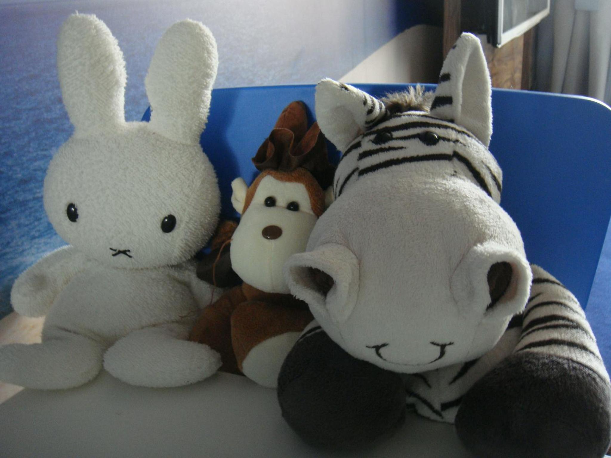 Photo 20