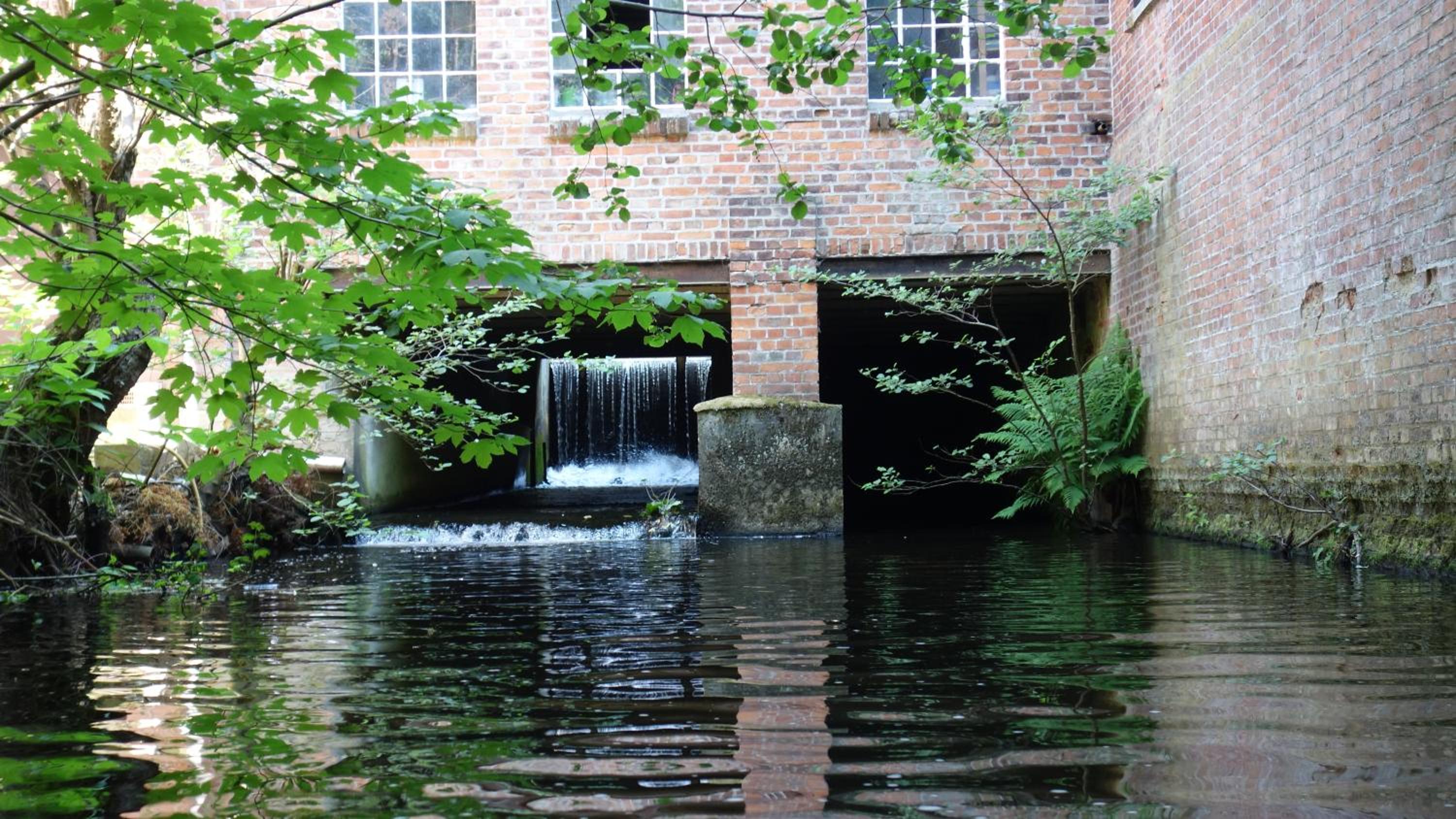 Wassermuhle Eldingen - Property Image 35
