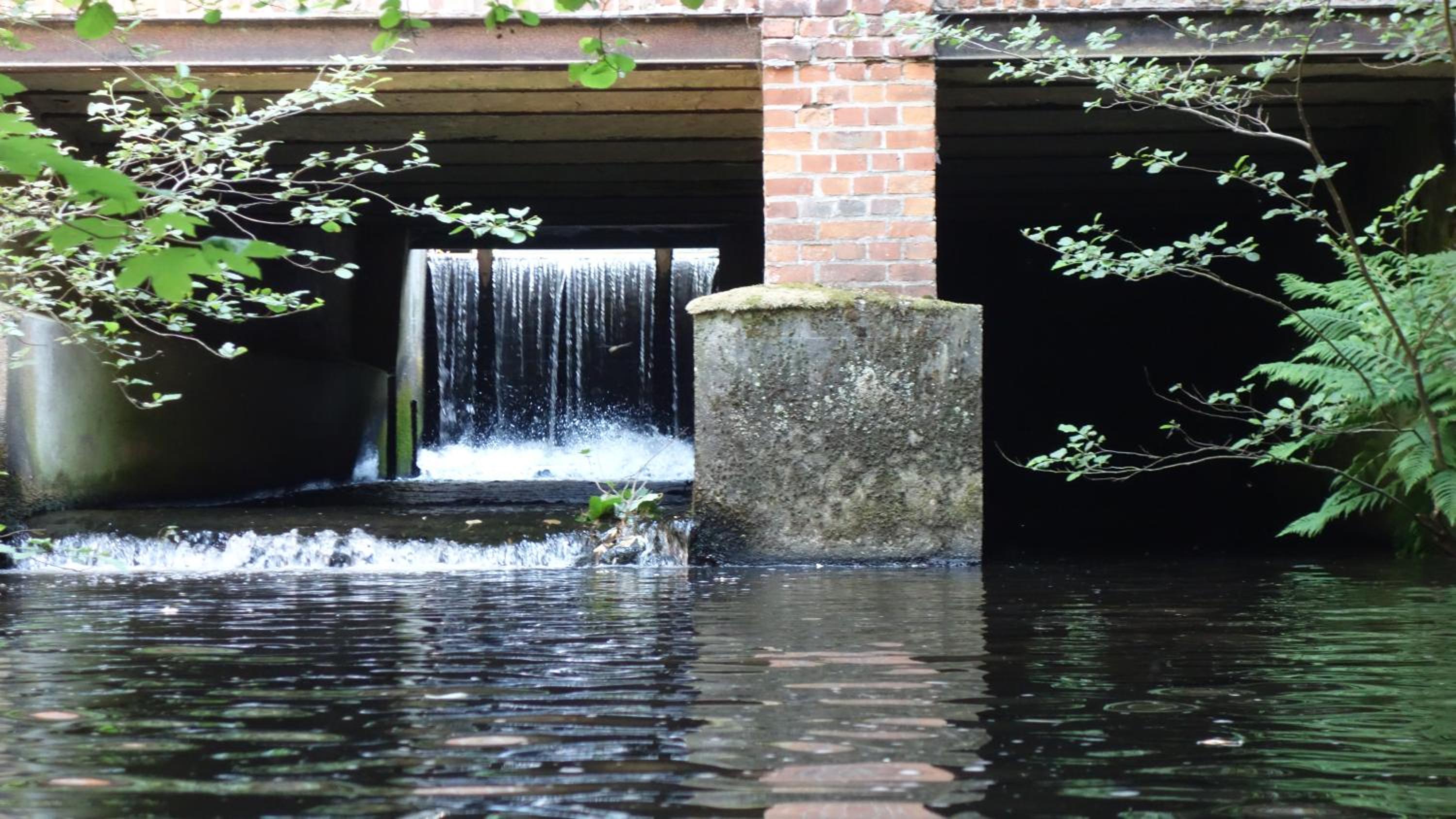 Wassermuhle Eldingen - Property Image 37