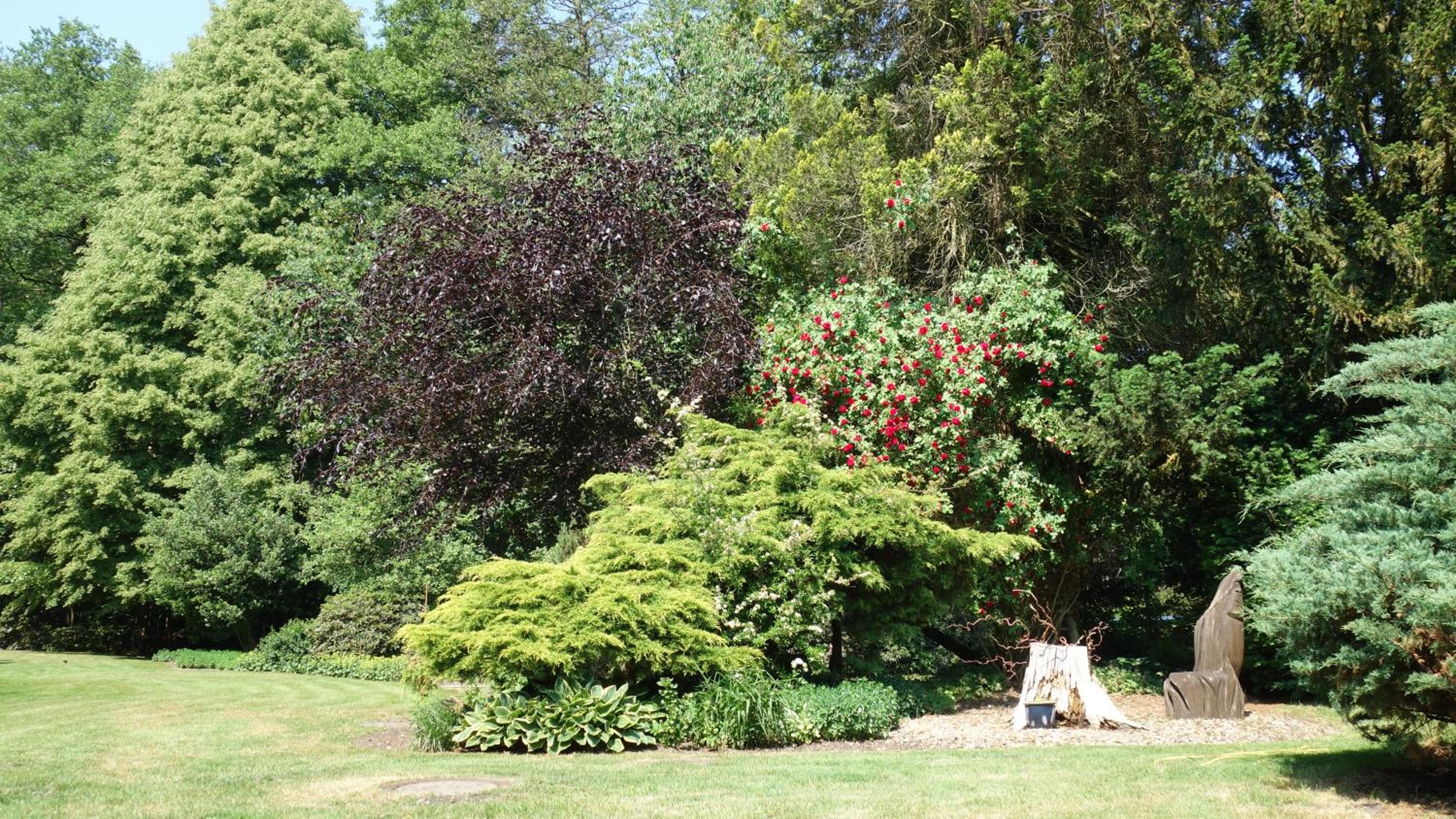Wassermuhle Eldingen - Property Image 39