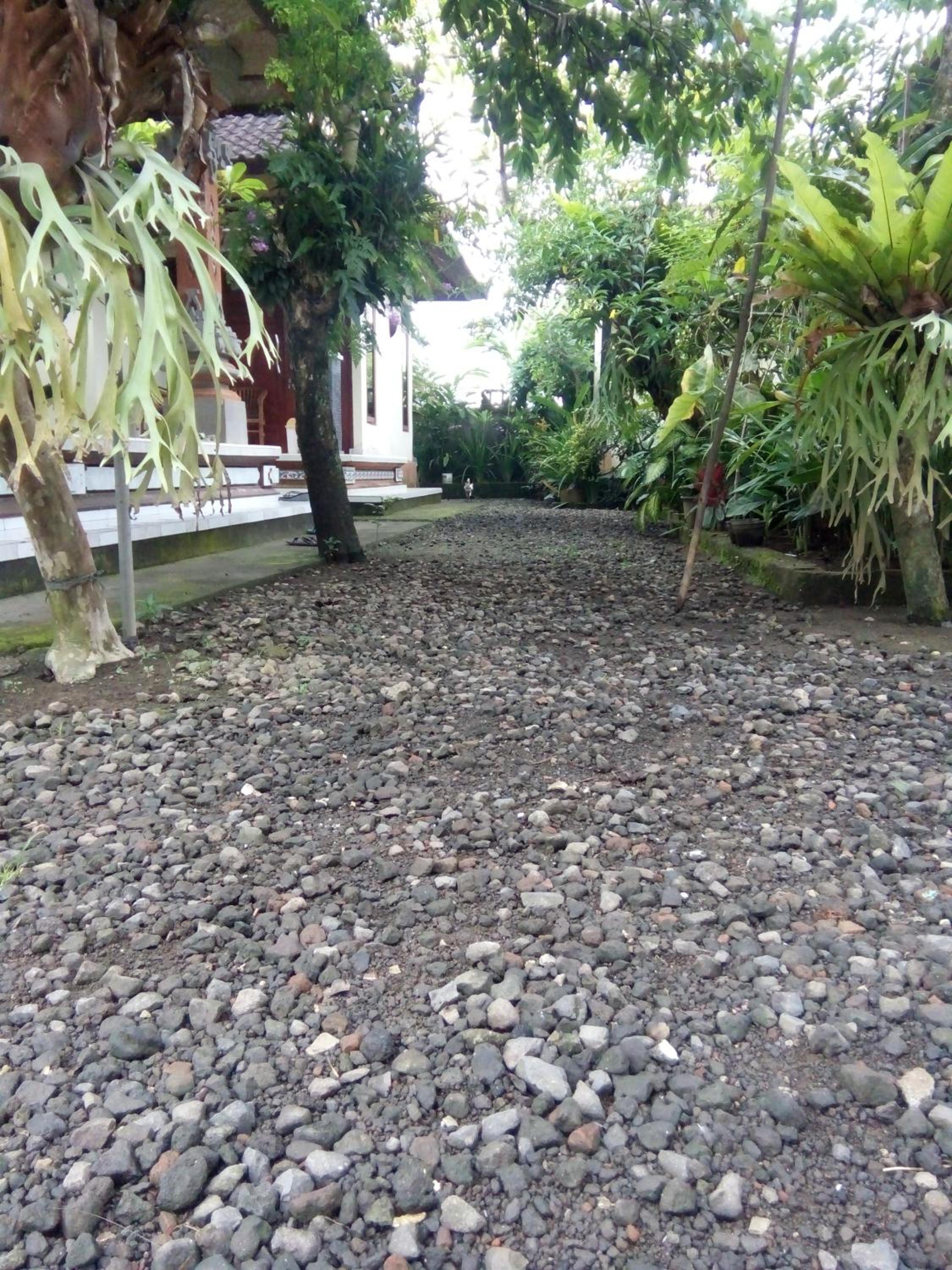 Photo 26