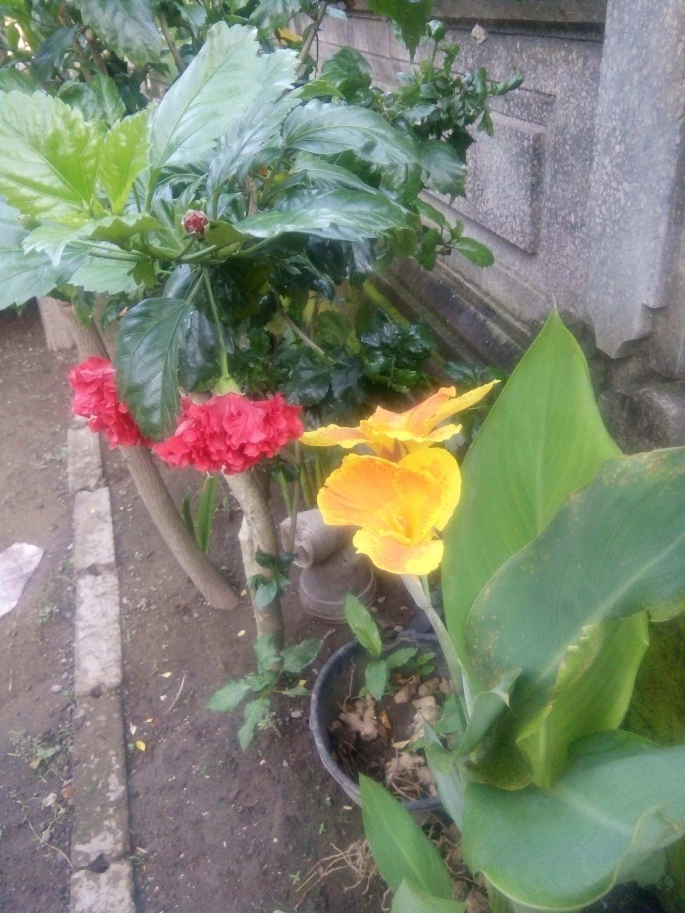 Photo 27