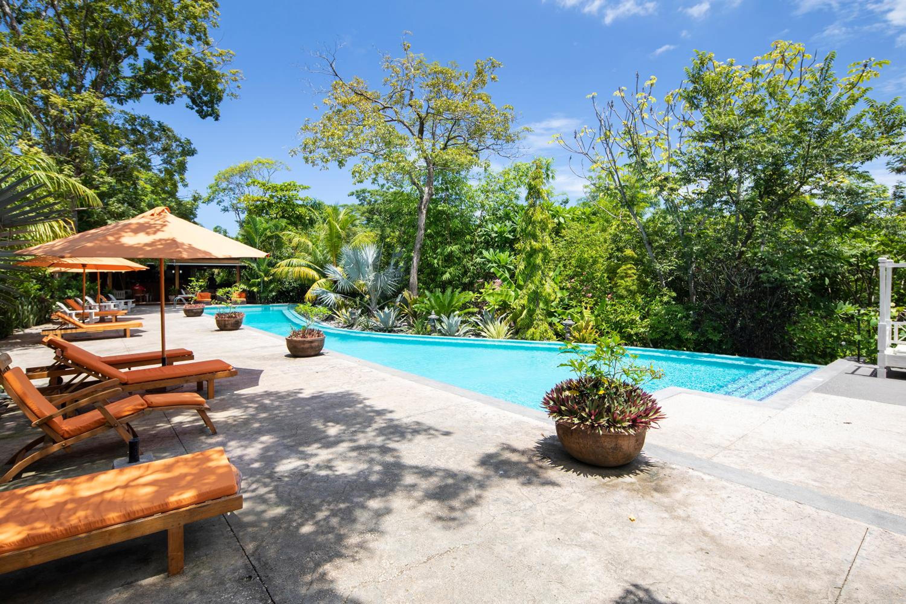 Bodhi Tree Yoga Resort