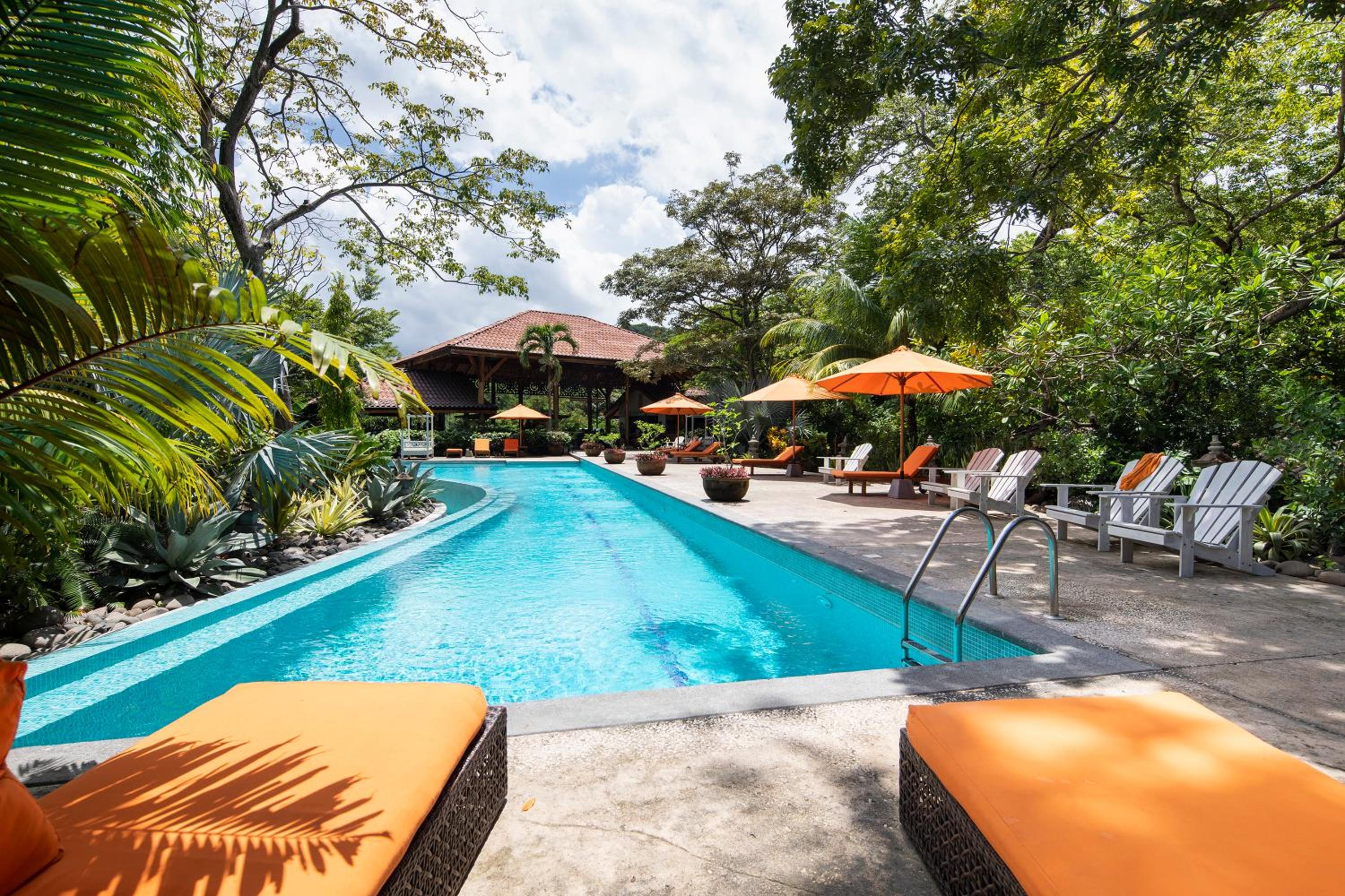 Bodhi Tree Yoga Resort