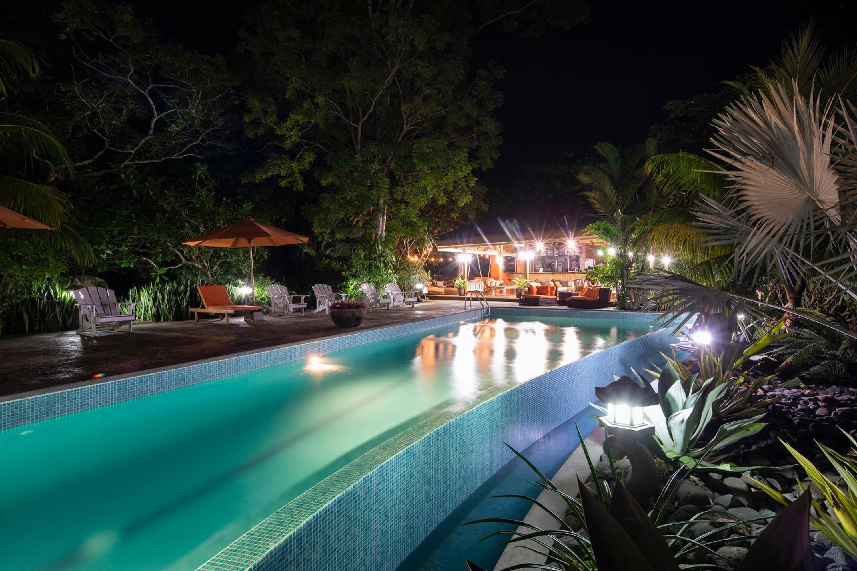 Bodhi Tree Yoga Resort