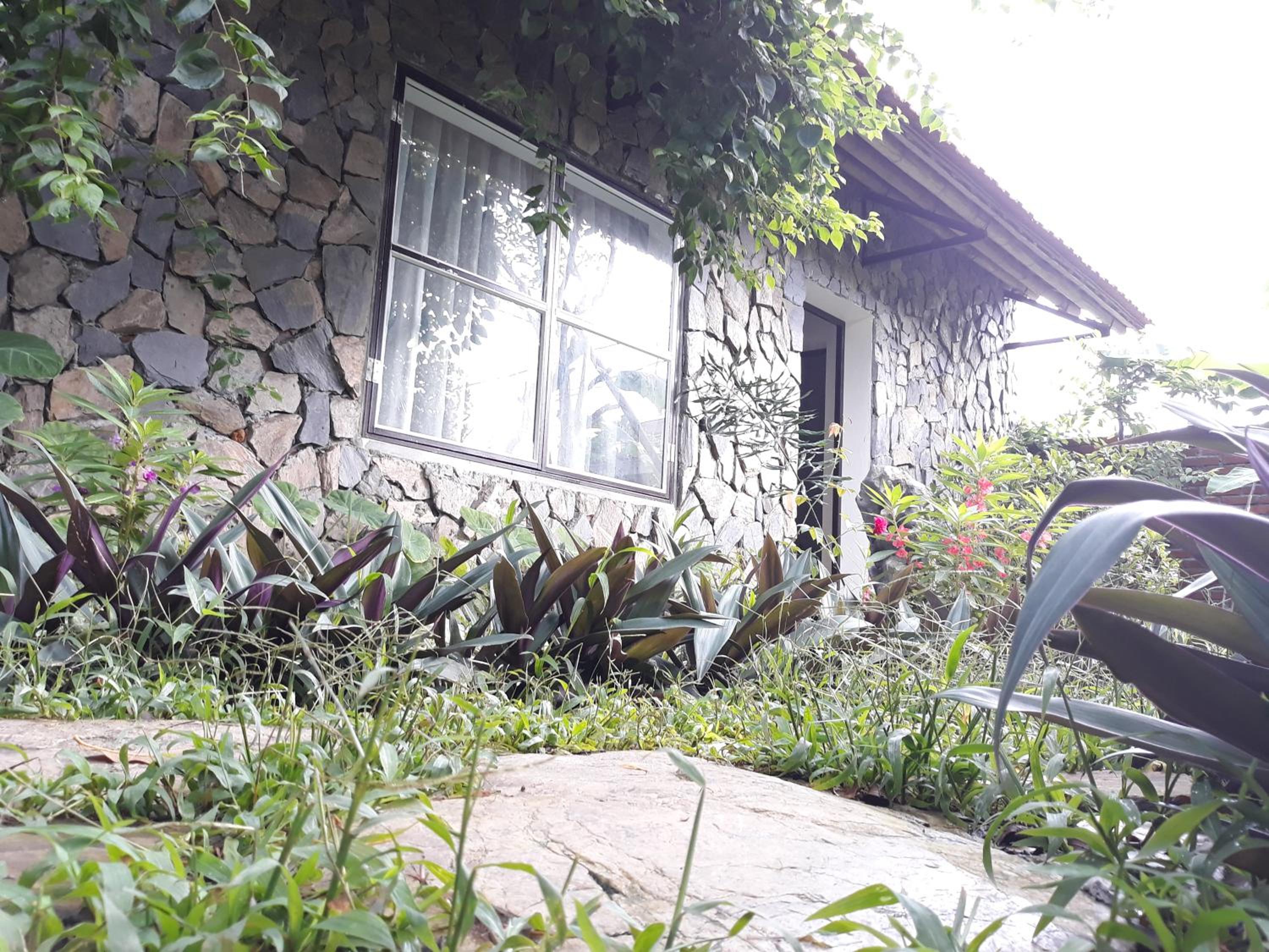 Mr. Viet home stay