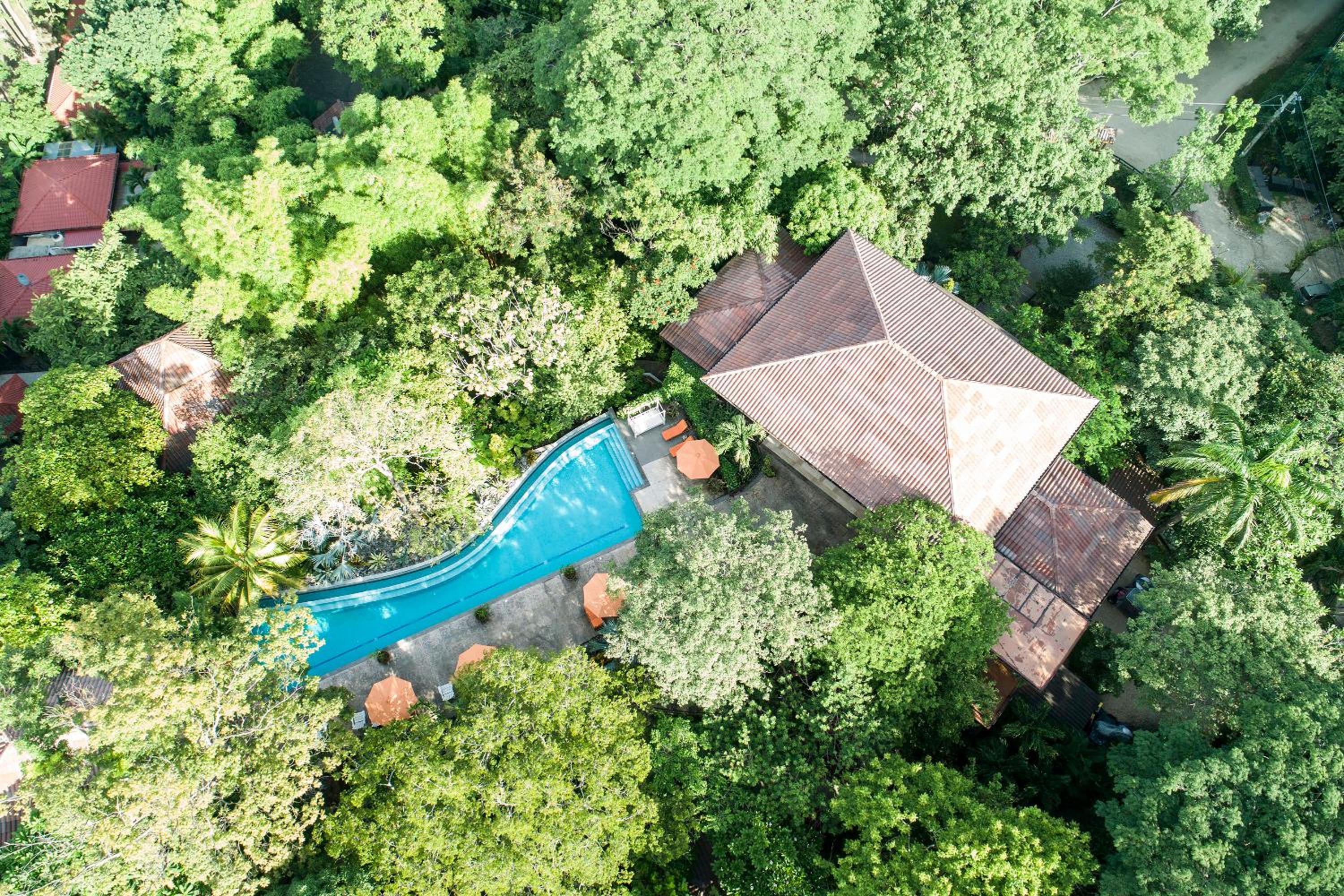 Bodhi Tree Yoga Resort