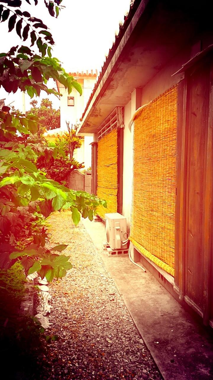Photo 38