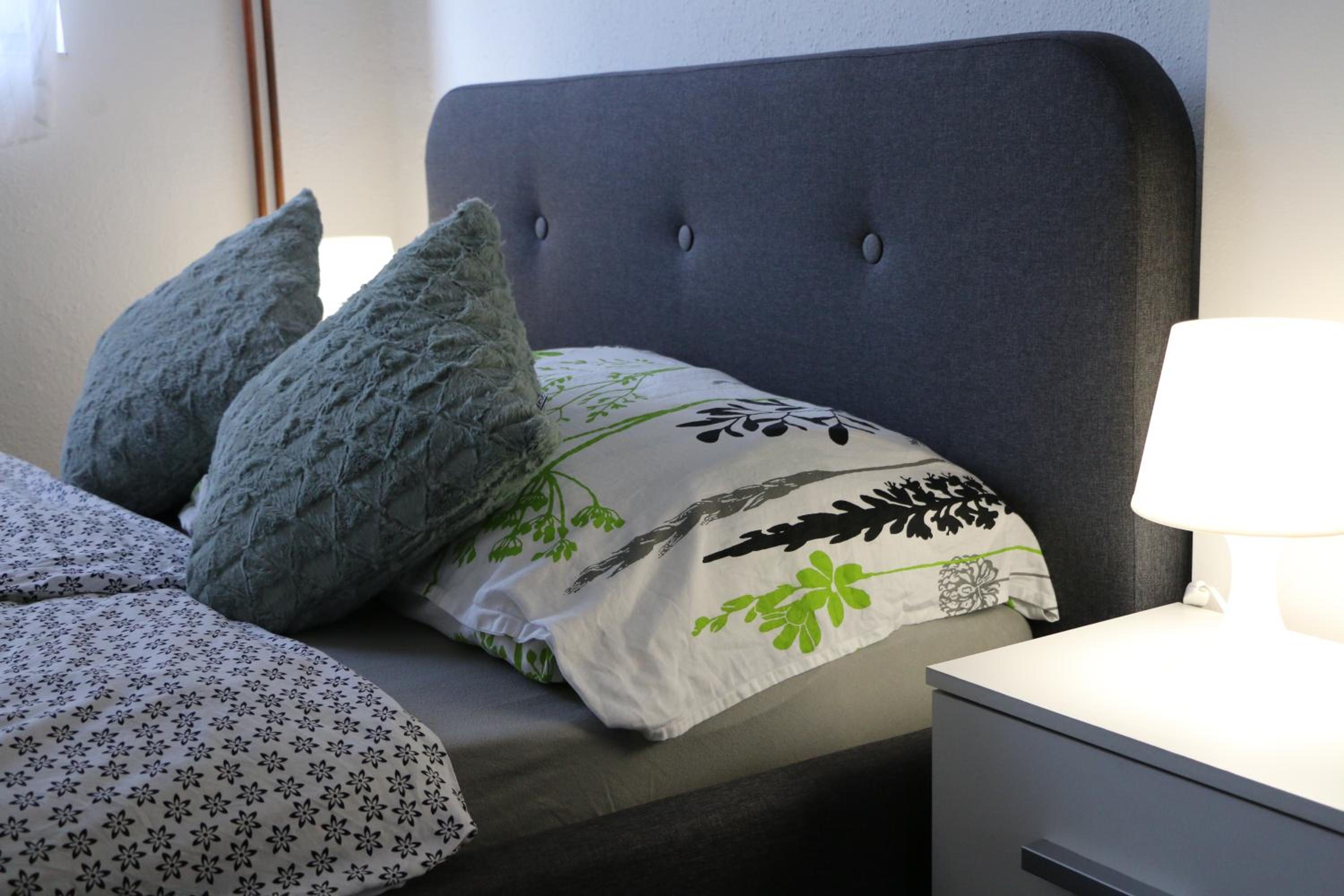 Apartman Dunav - PARKING - Self check in view 2