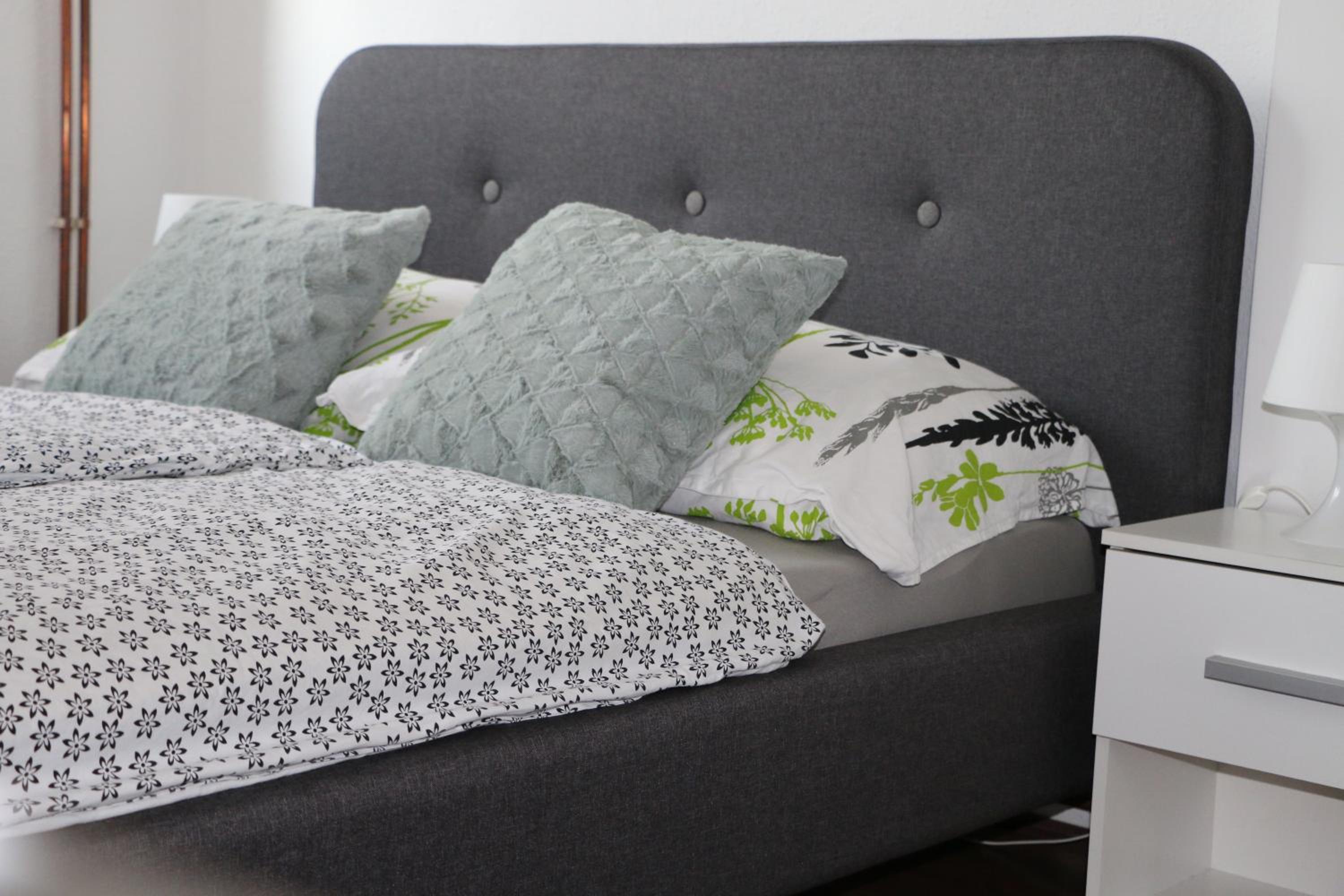 Apartman Dunav - PARKING - Self check in view 5