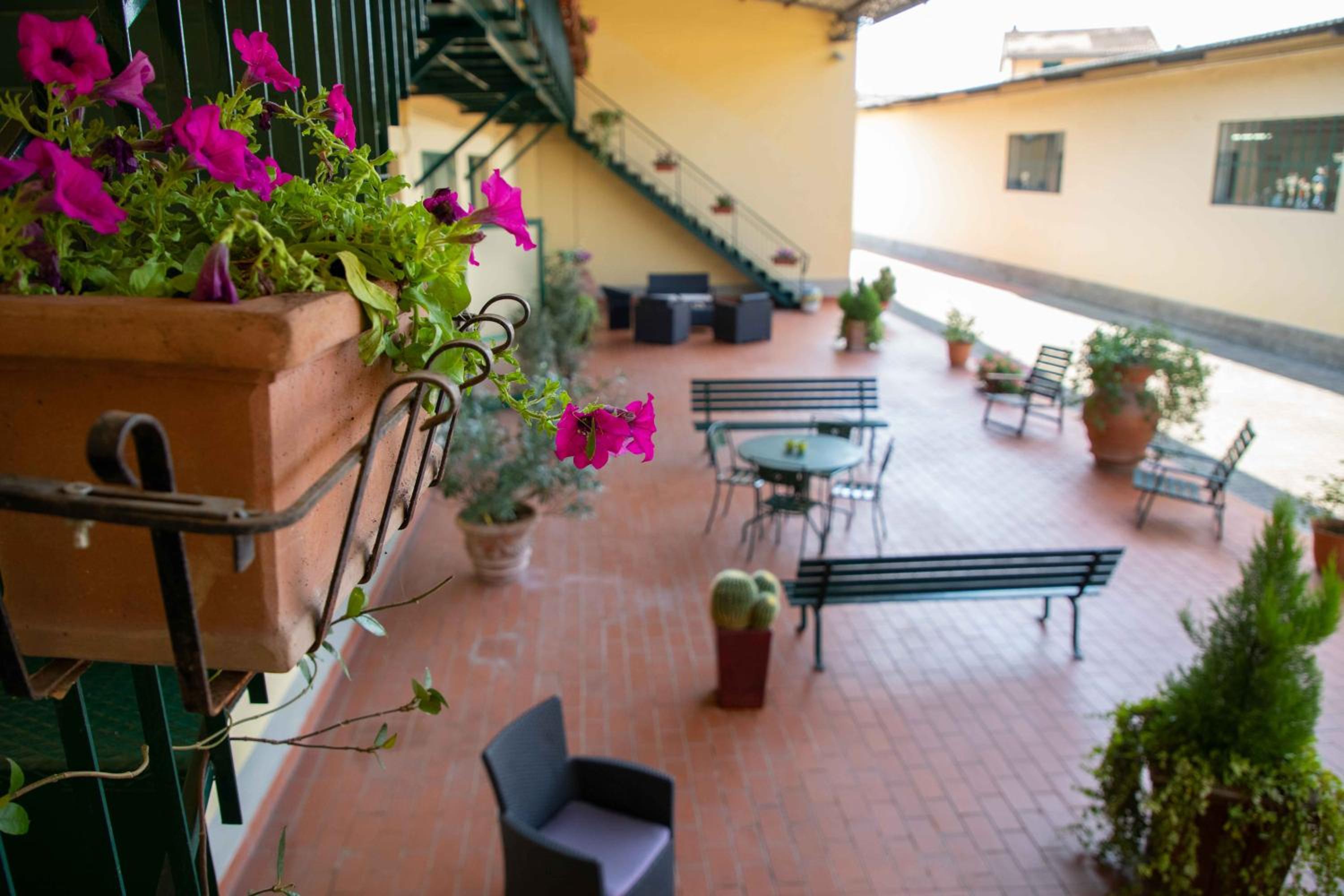 balance & terrace