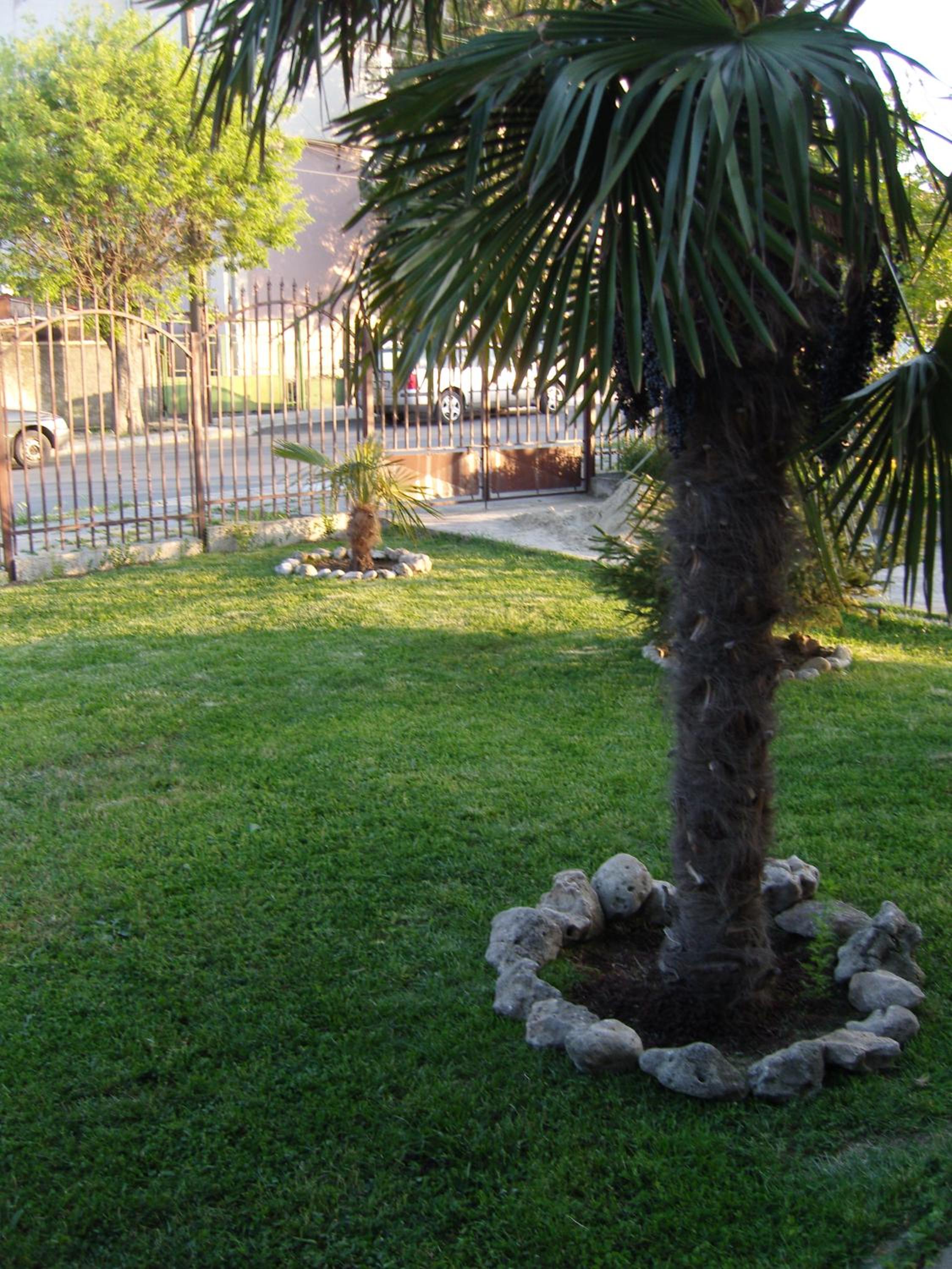 Kirovi House - guest rooms