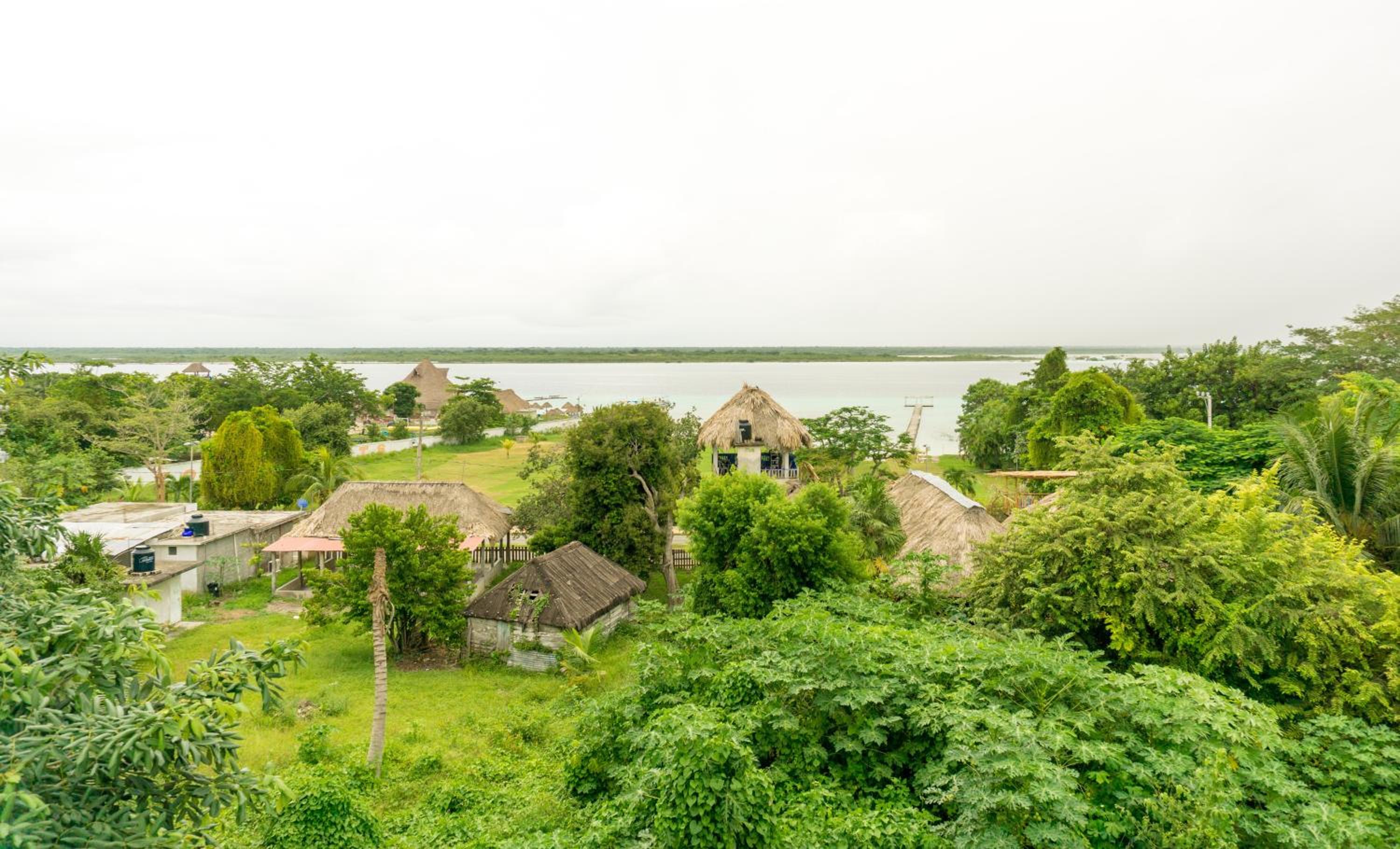 Hacienda bambú