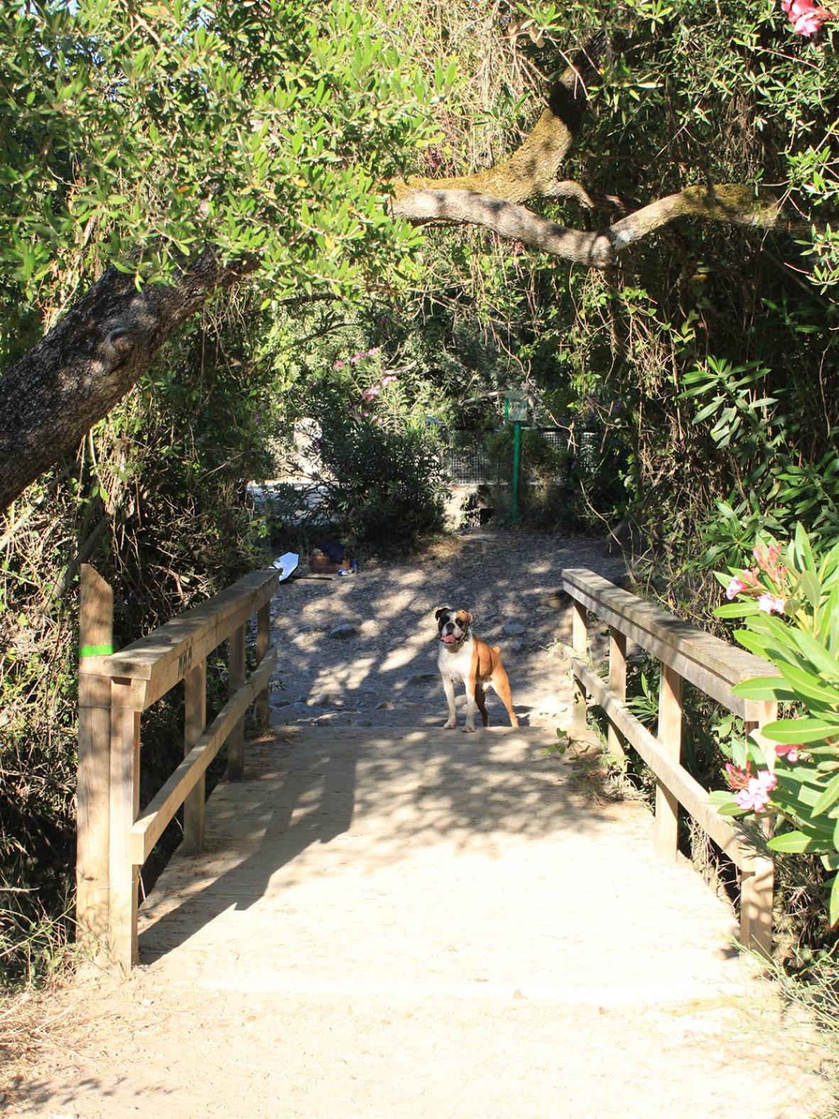 Photo 13