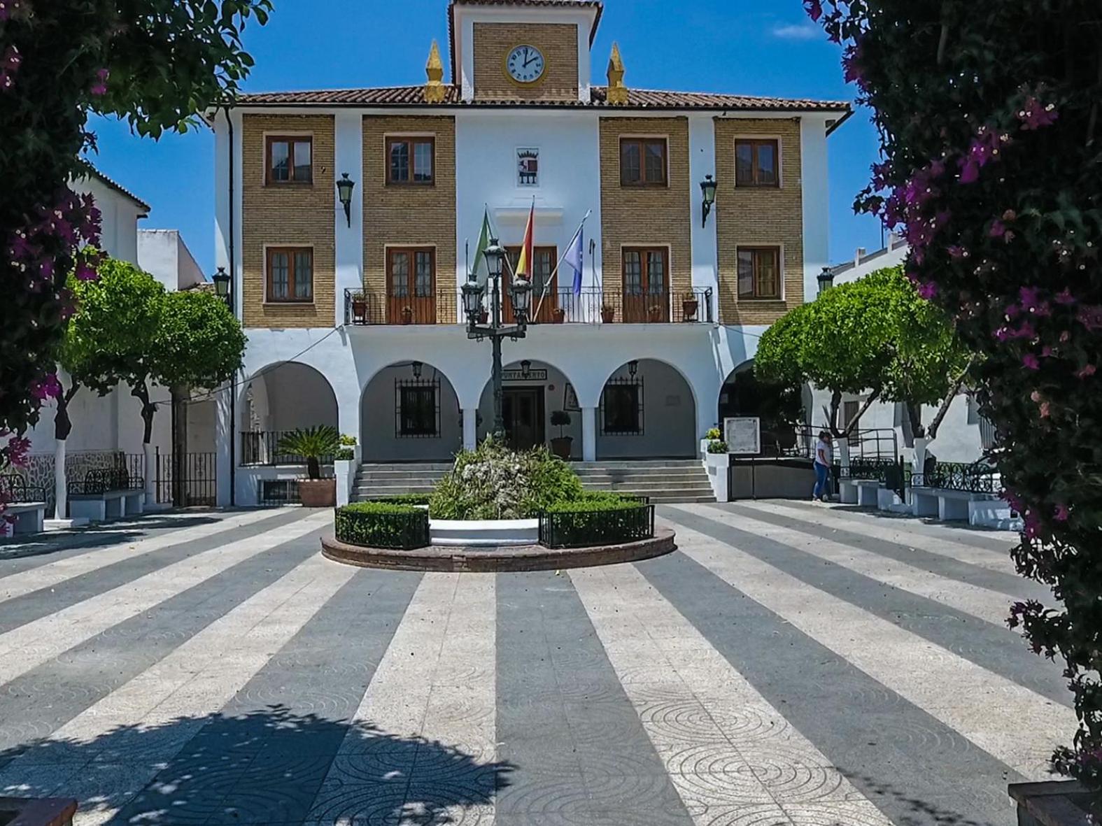 Photo 19