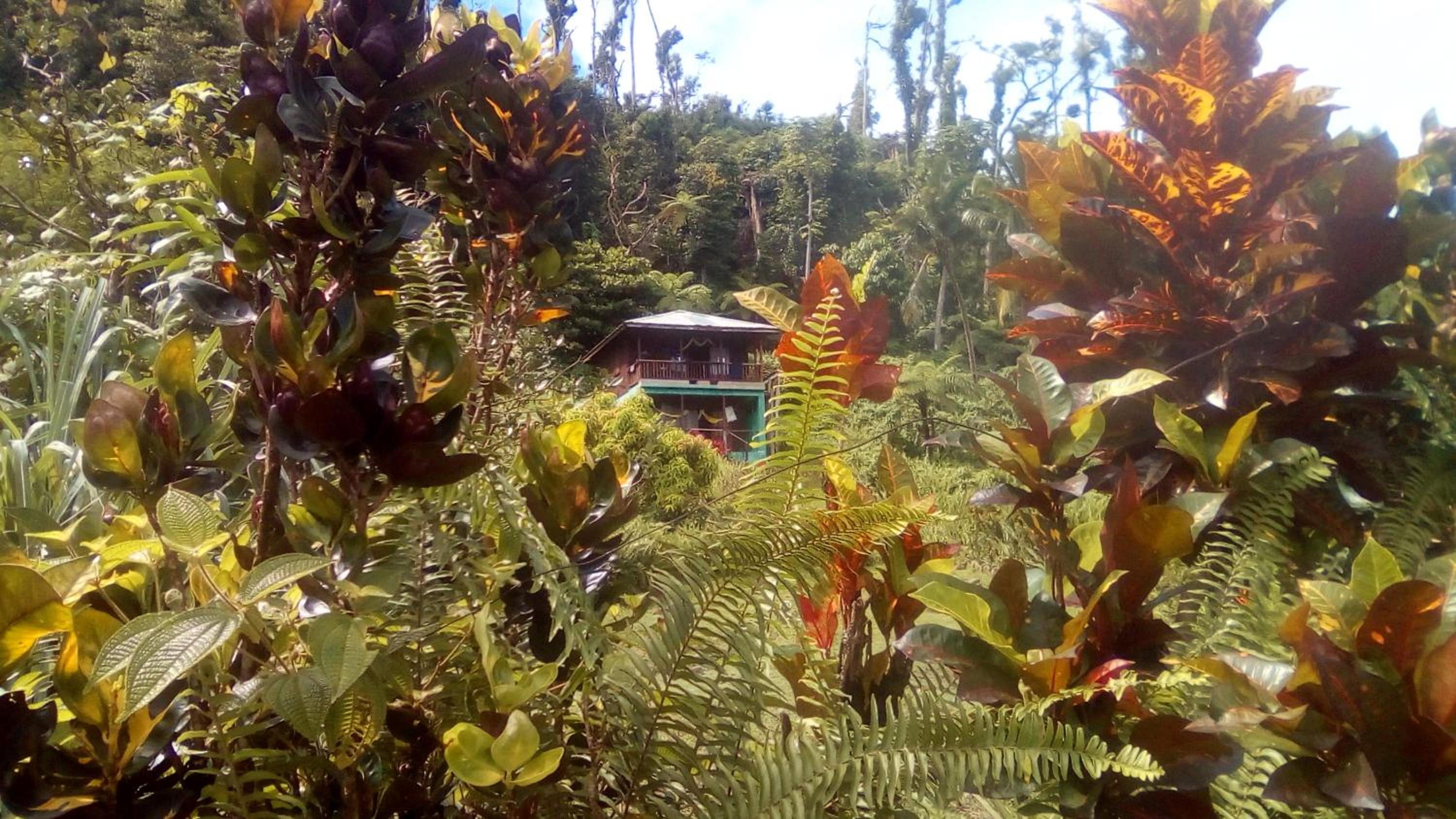 3 Rivers Eco Lodge