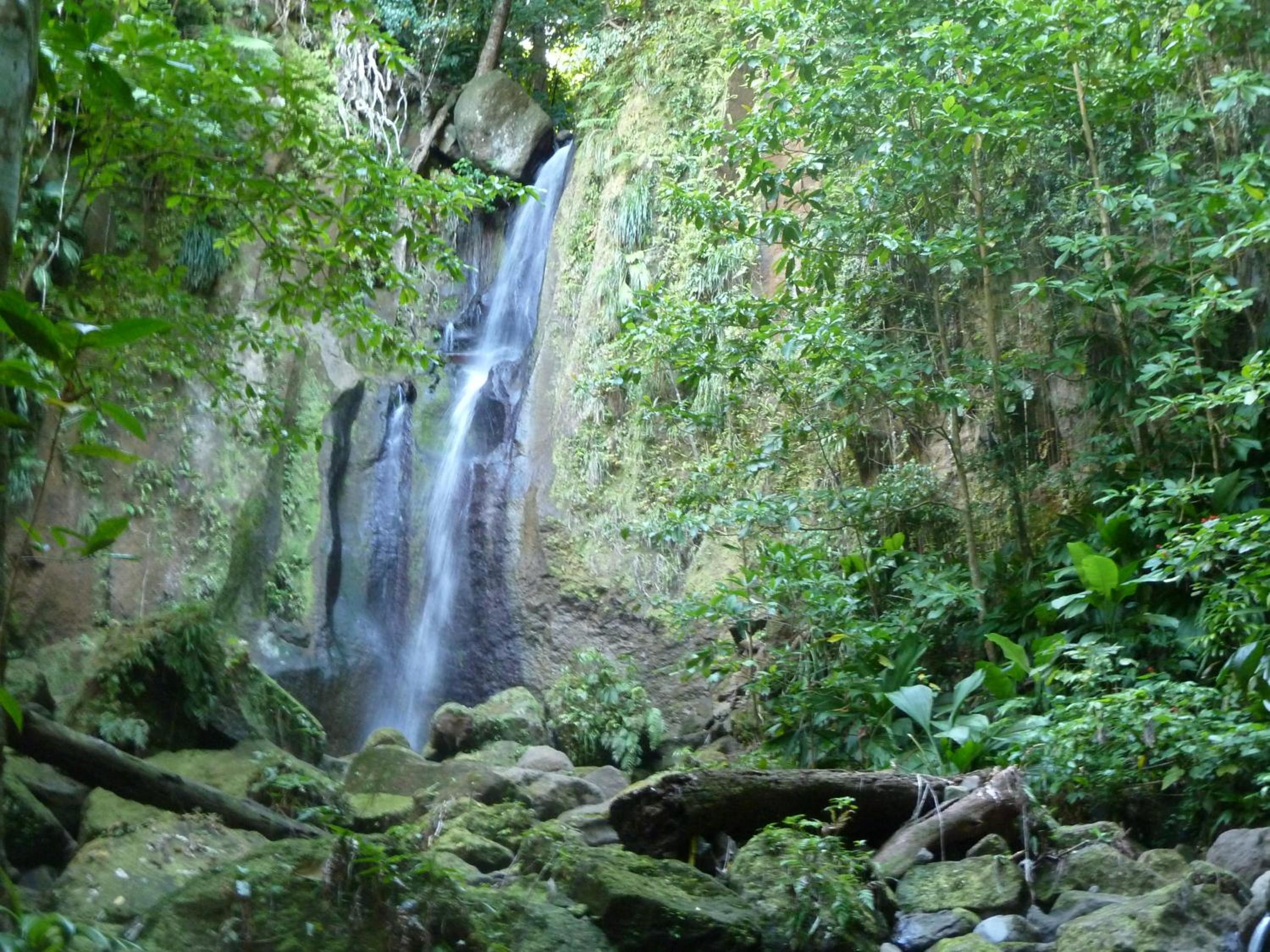 3 Rivers Eco Lodge