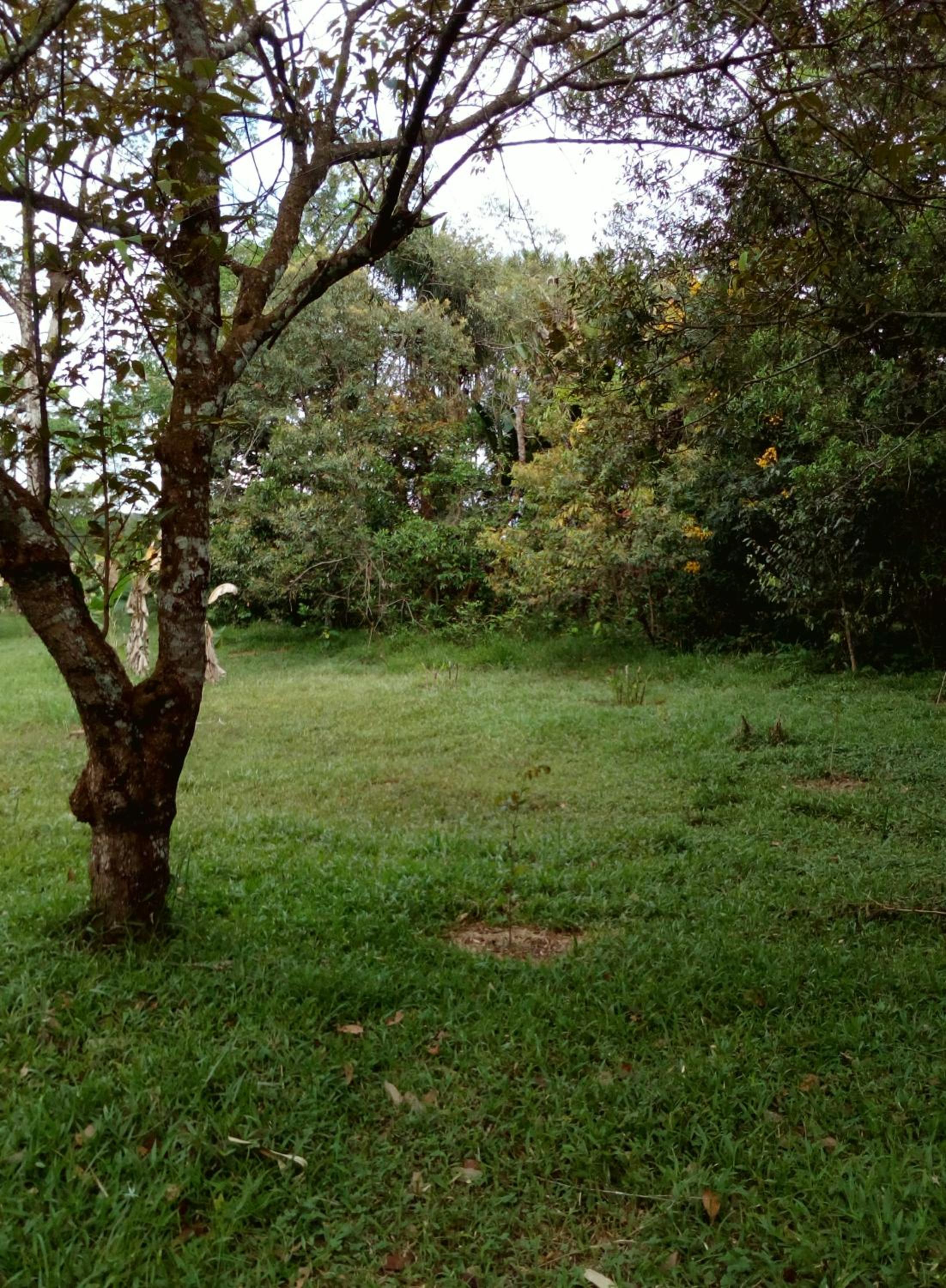 Photo 56