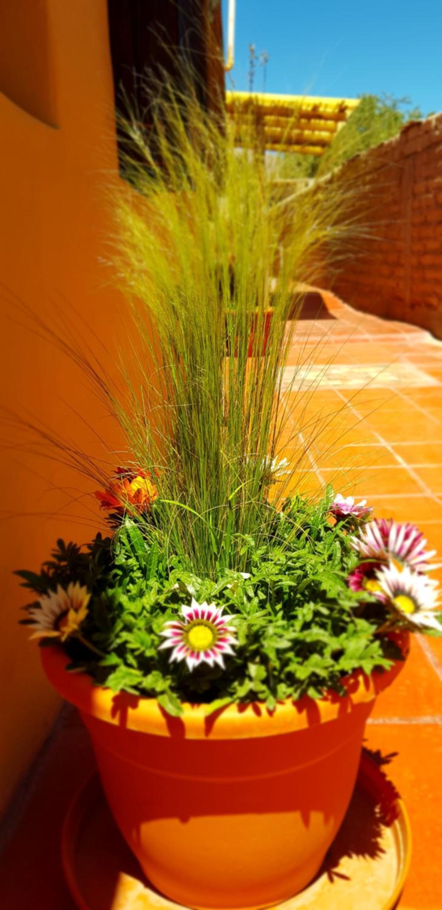 Hostal Asqui Pacha