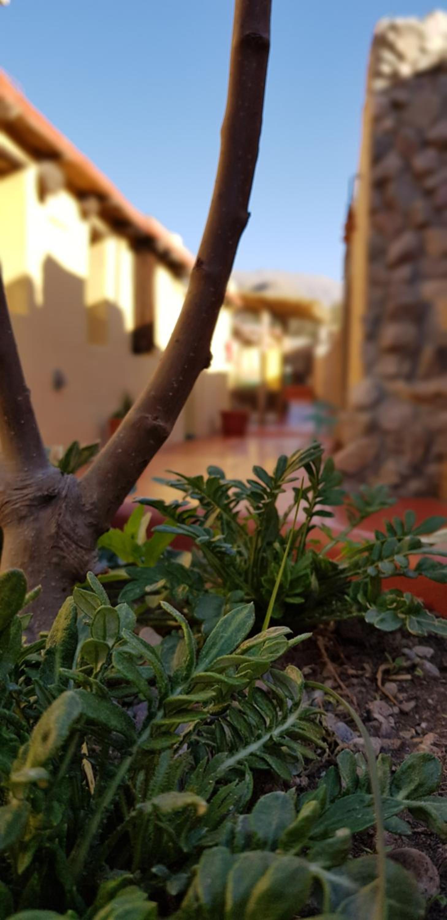 Hostal Asqui Pacha