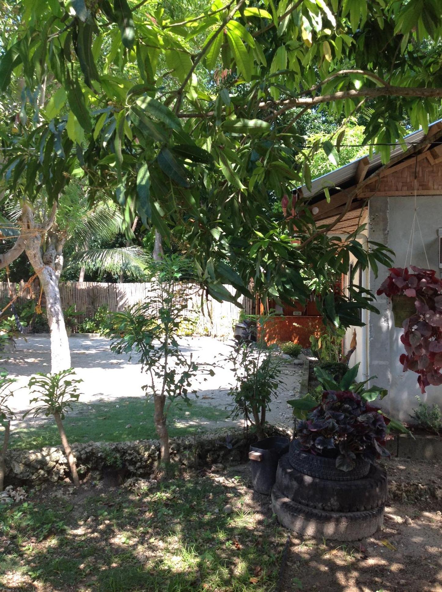 Photo 10
