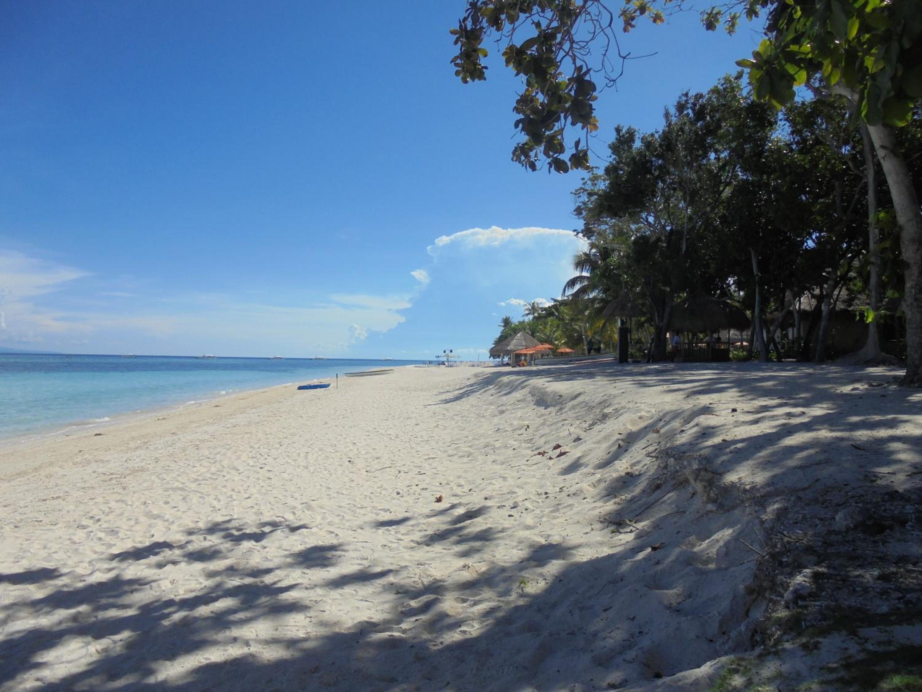Mayas Guesthouse