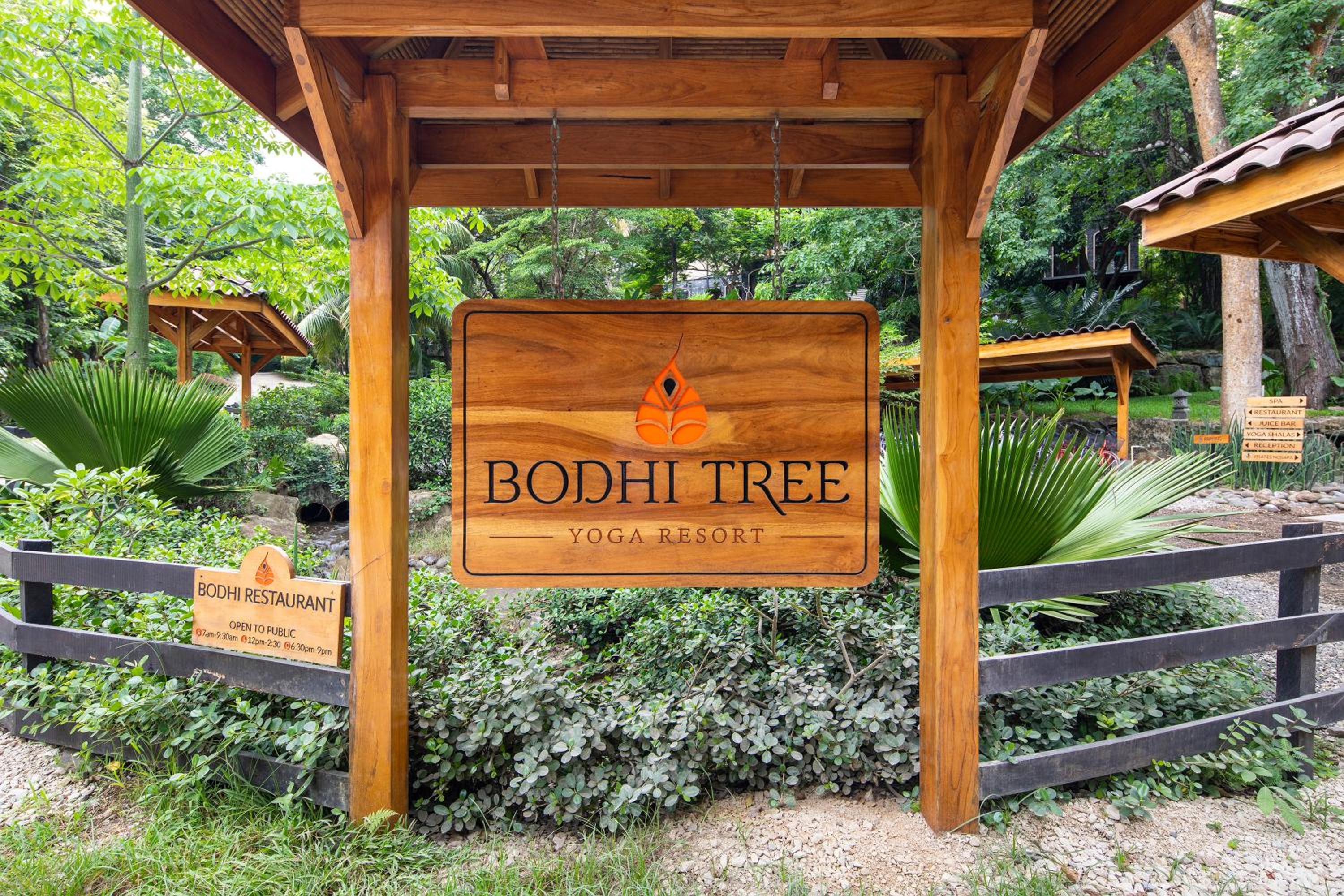 Bodhi Tree Yoga Resort