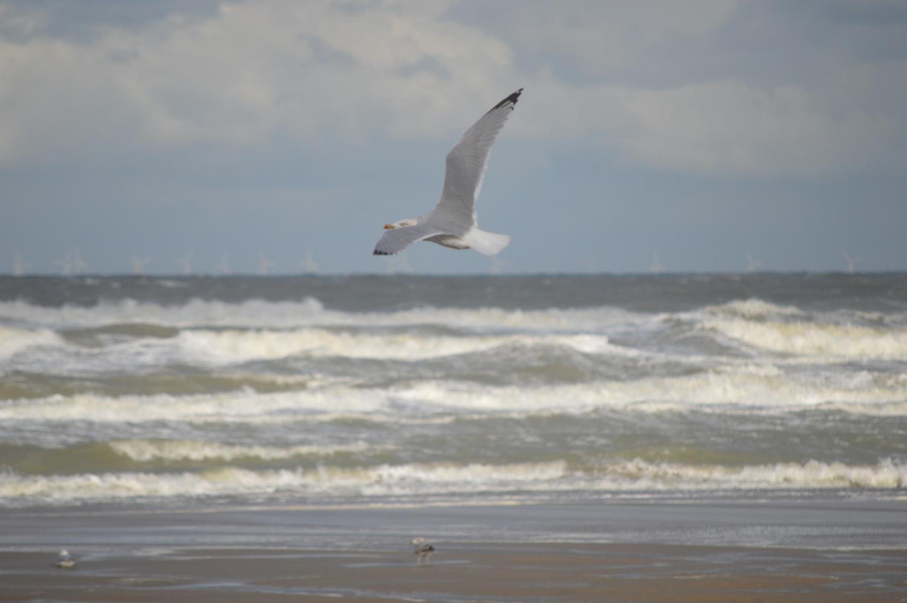 Huisjes aan zee